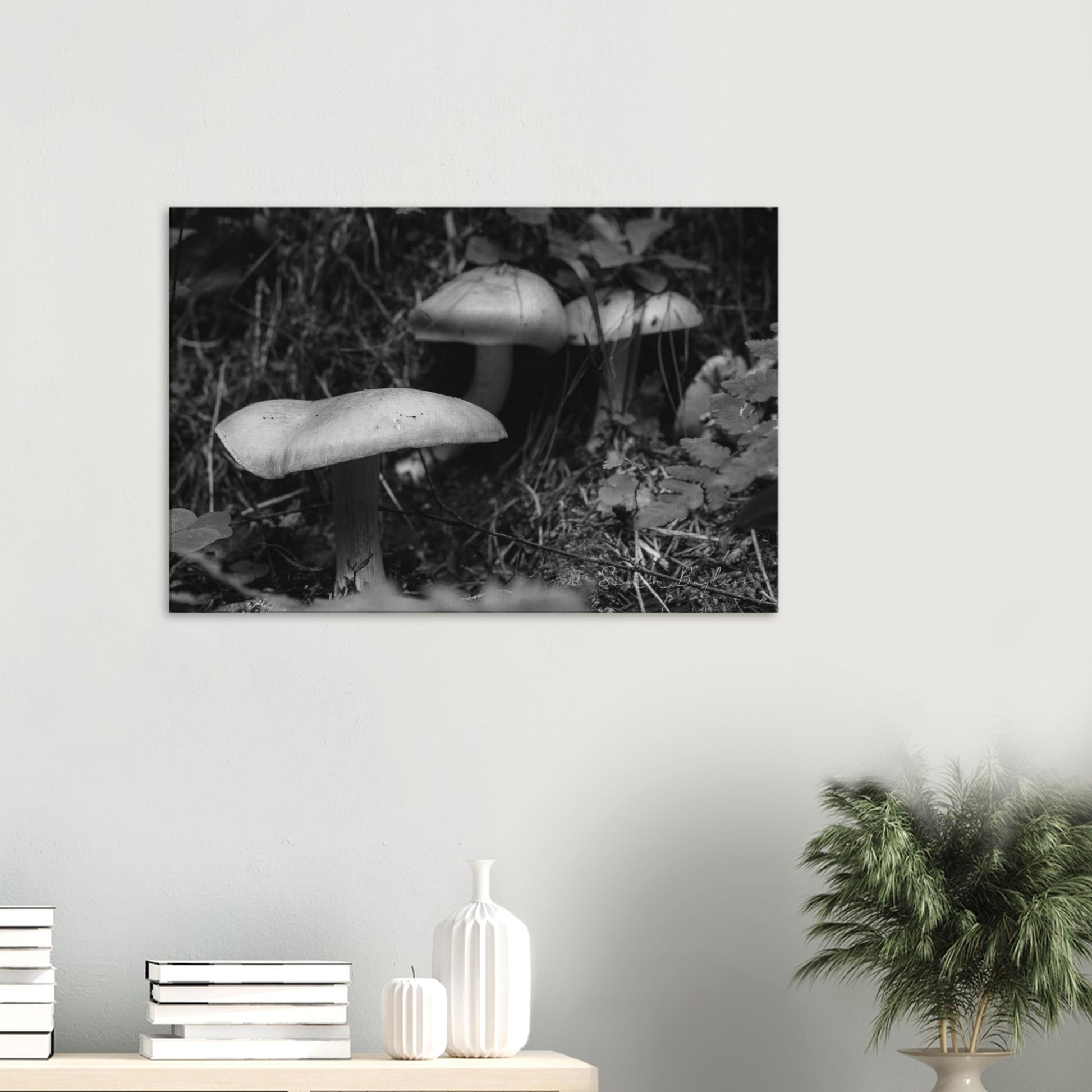 d87d5eb3-c636-407c-99fa-7febf09209cc