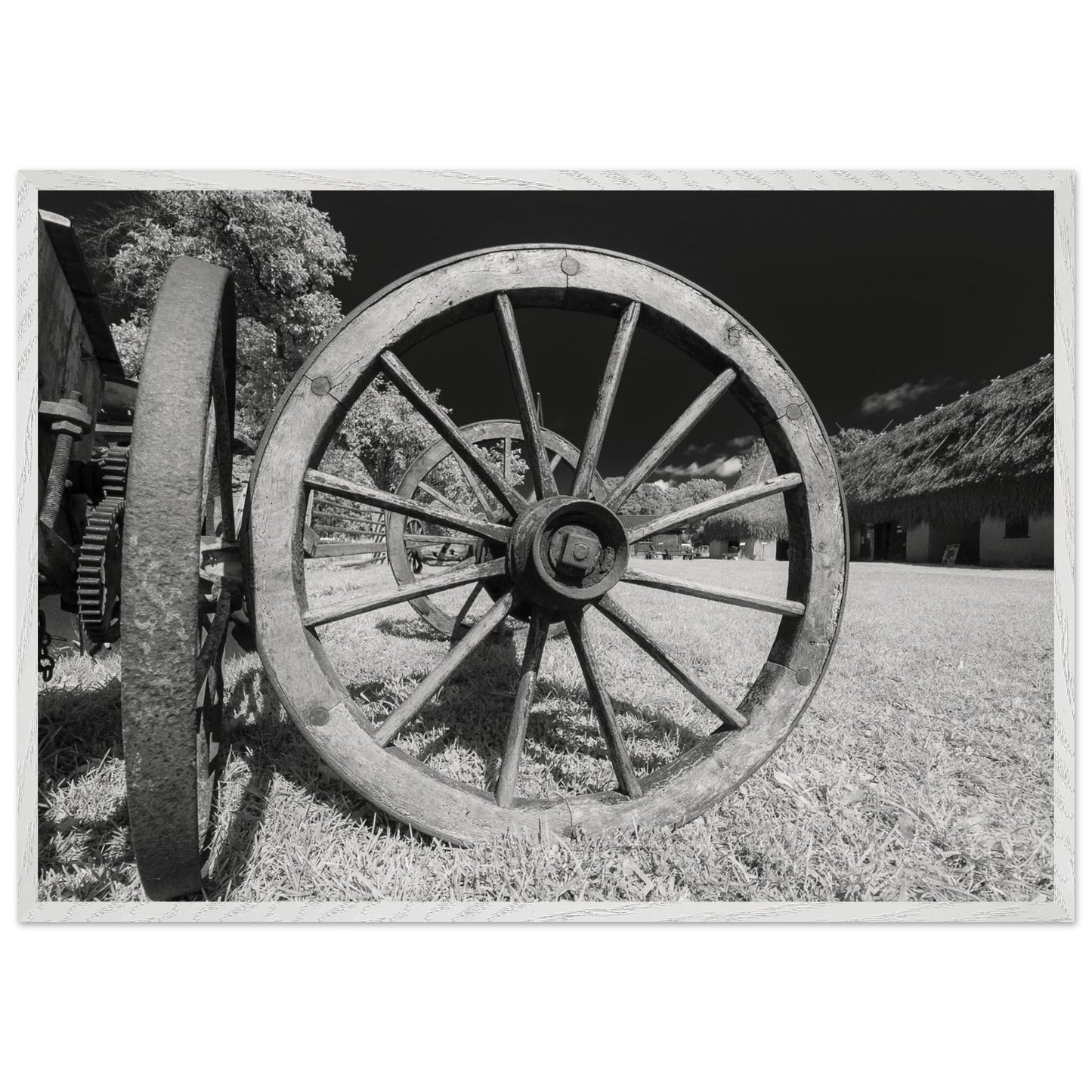 d87f63a9-4246-4eb1-bc15-e58d365c5ff7