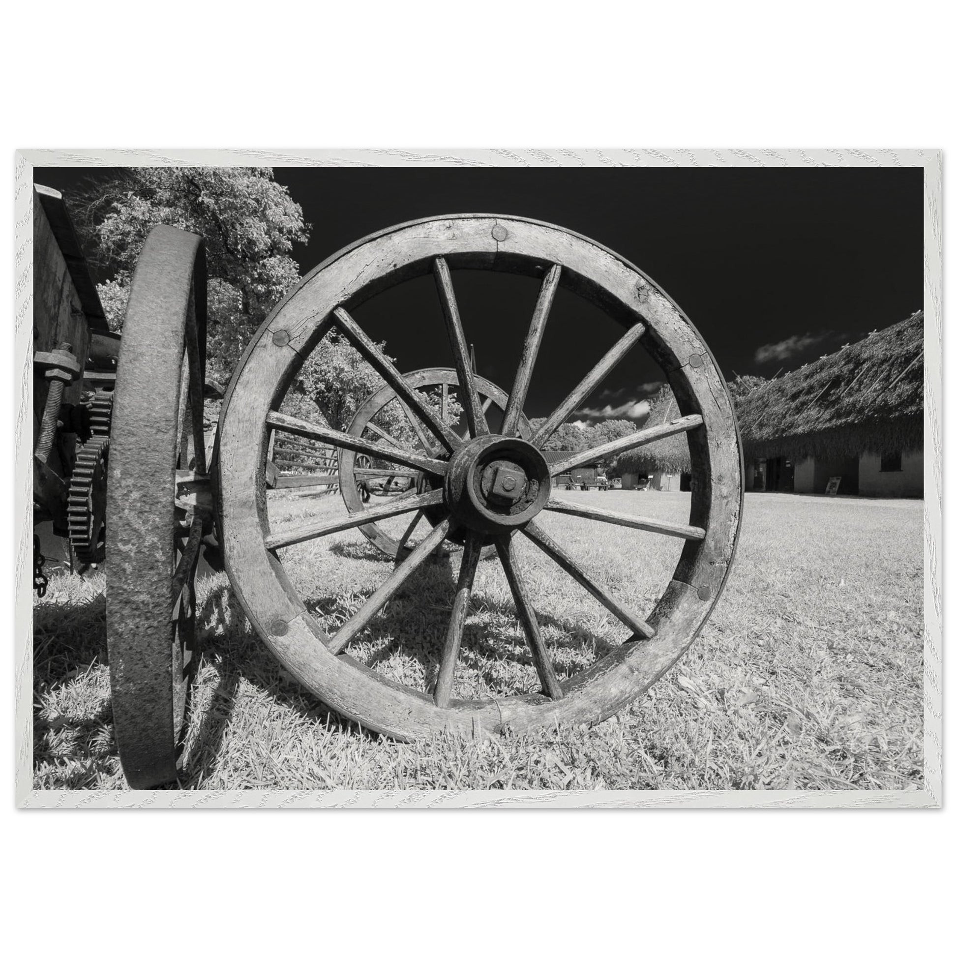 d87f63a9-4246-4eb1-bc15-e58d365c5ff7