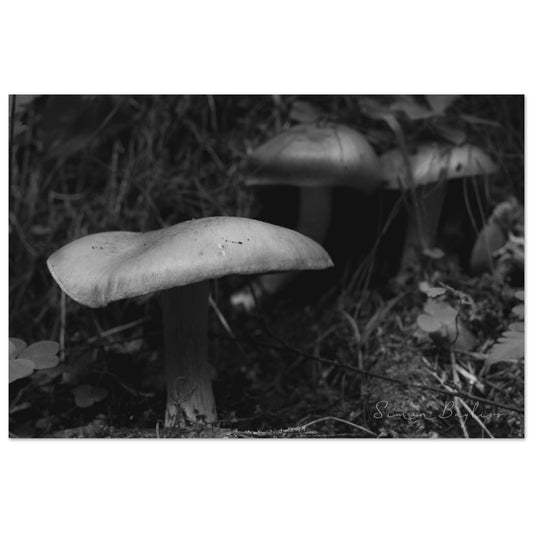 d94d0f1d-d612-4876-84bf-0f082d54742d