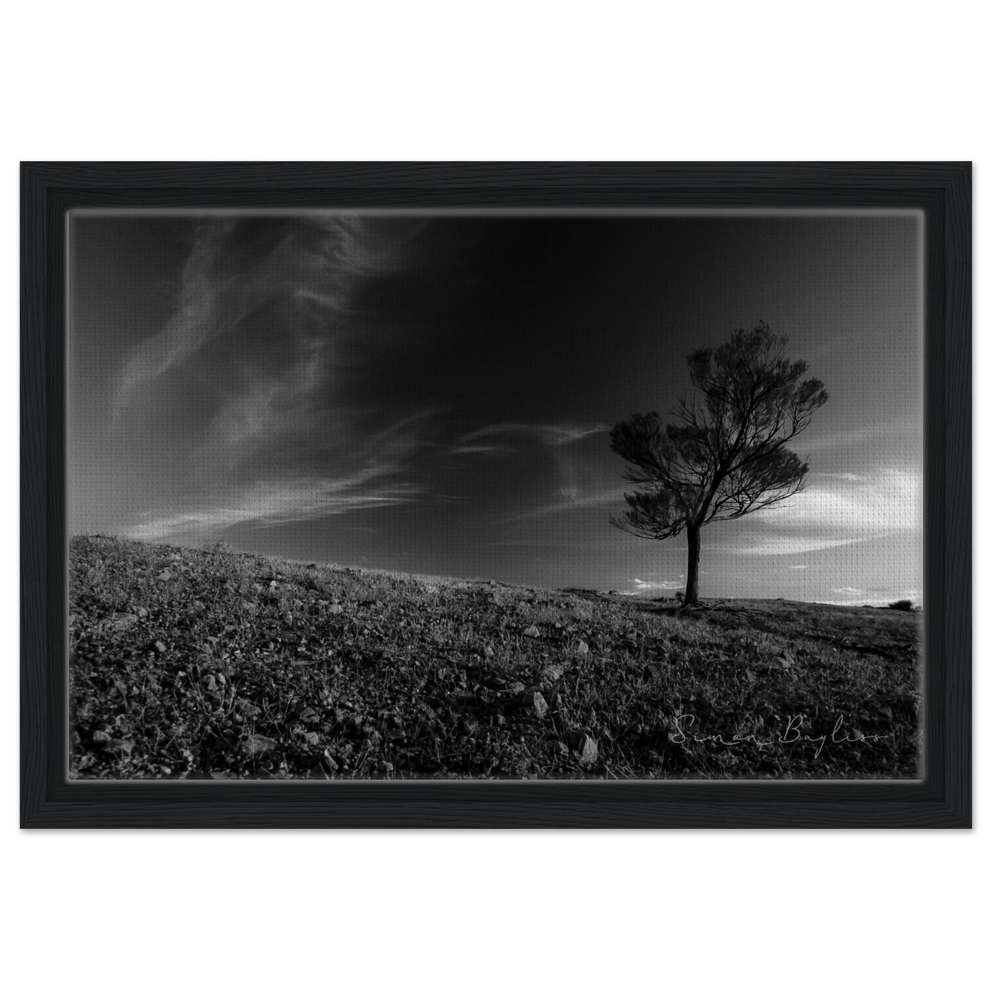 d9510595-df43-4e9b-9d3c-47a55e6e4f72