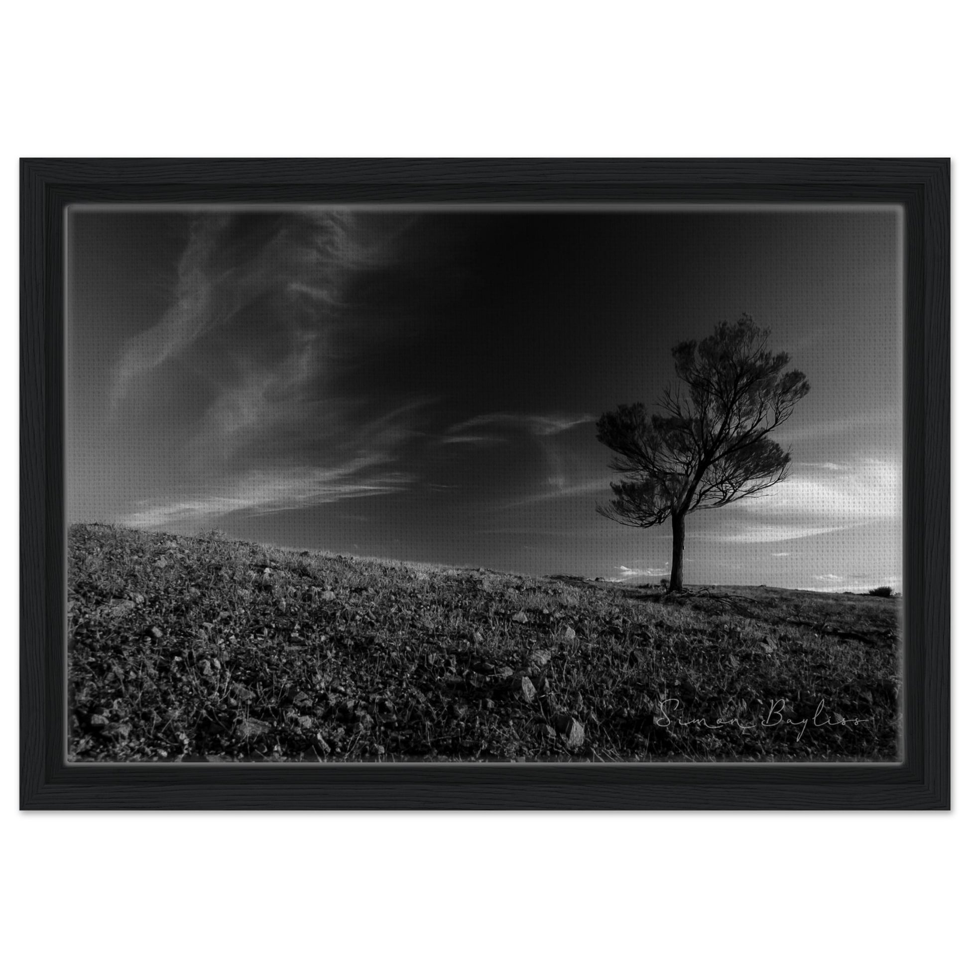 d9510595-df43-4e9b-9d3c-47a55e6e4f72