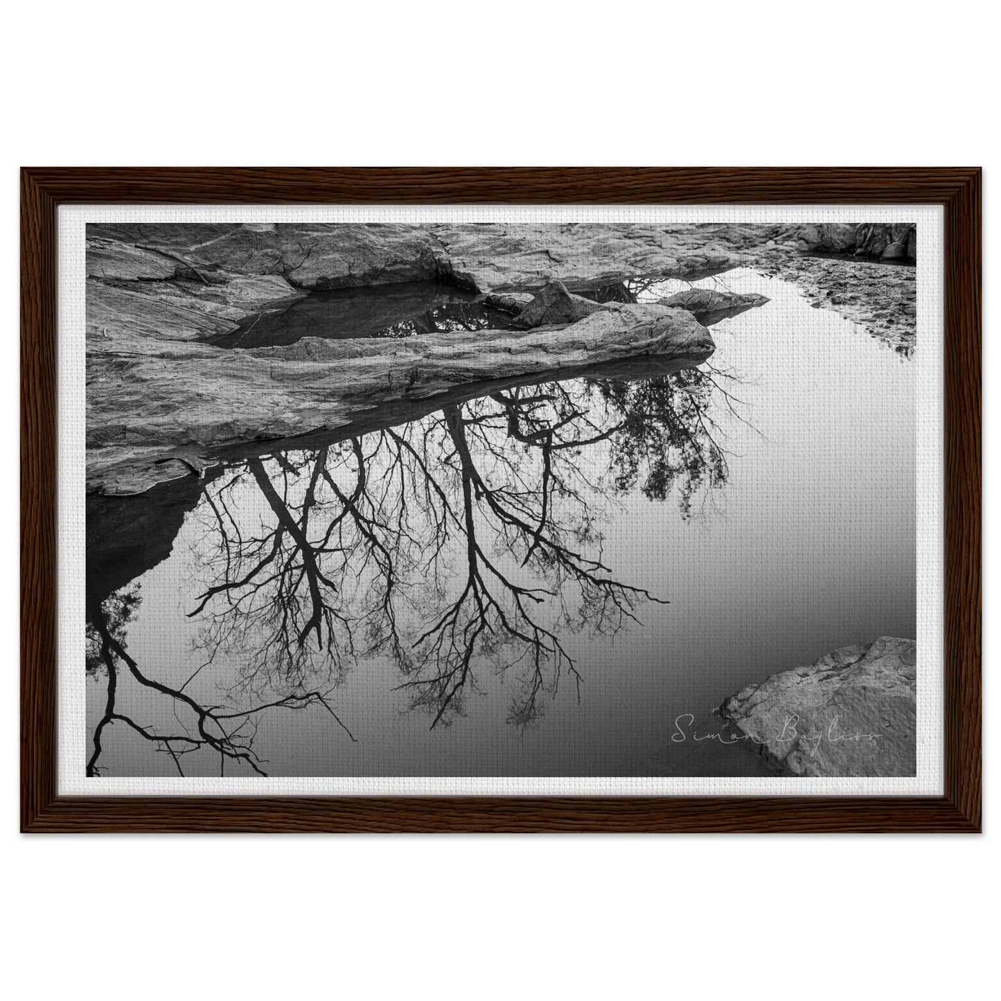 d983321b-b455-45fb-8c9a-e09fd52eabce