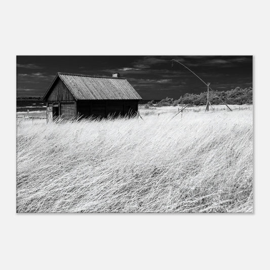 da2a7dda-947d-42c0-8c8e-4fee9b7b4525