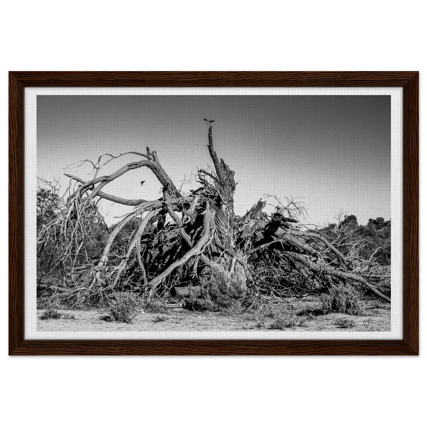 da3f0183-a6af-4b04-b928-123aeb2d3c7c