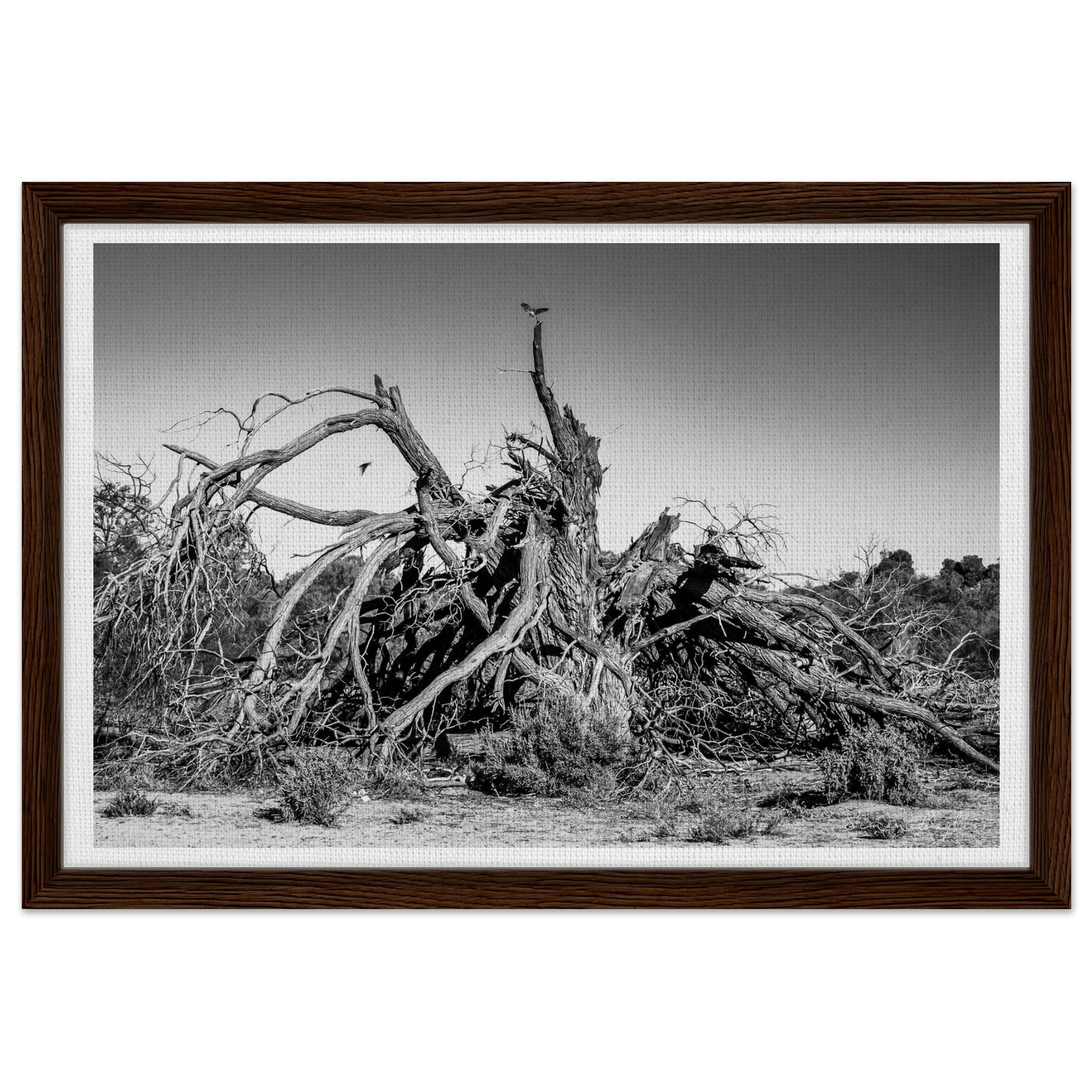 da3f0183-a6af-4b04-b928-123aeb2d3c7c