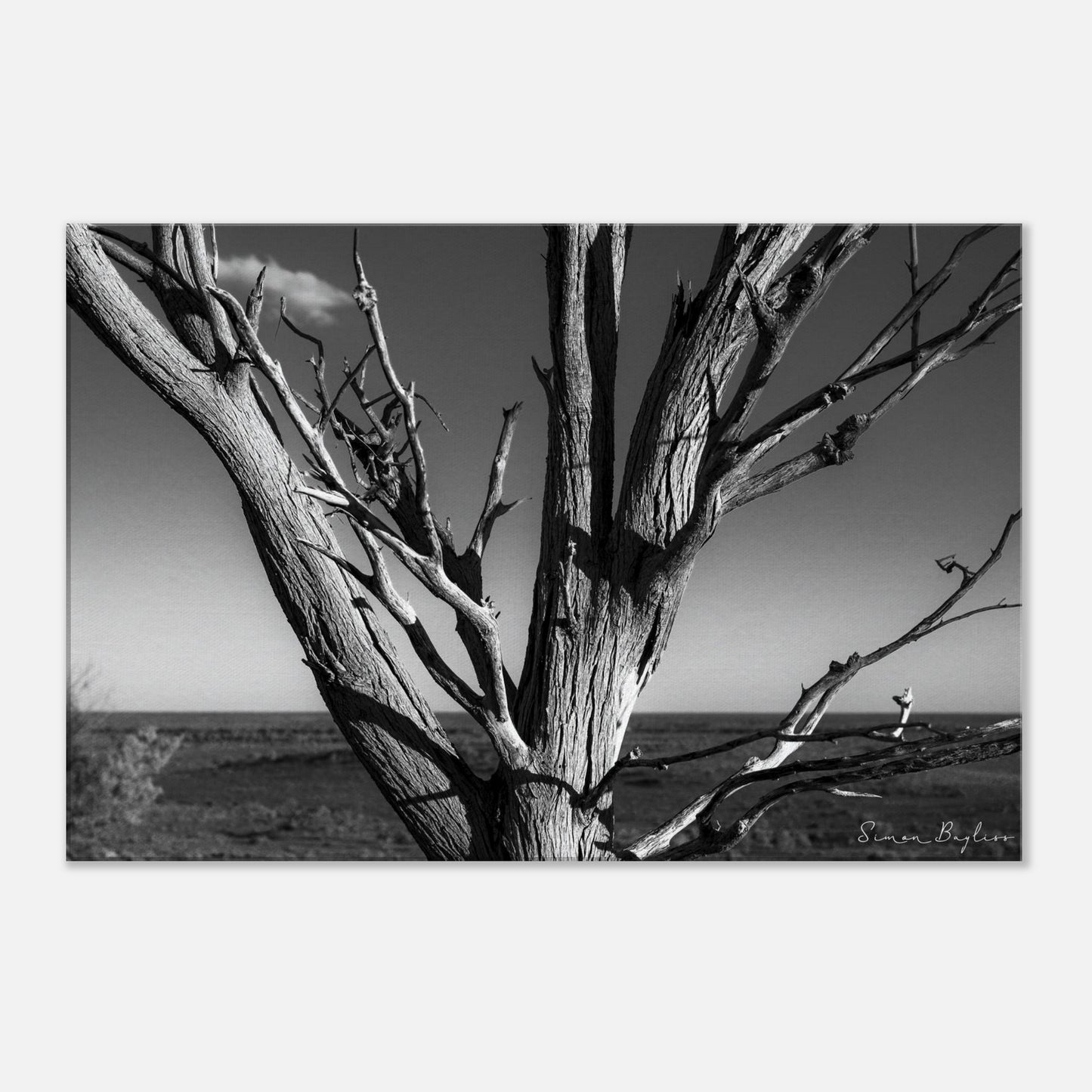 dac93431-c5c2-4d93-8657-bdf23fc5f8fe