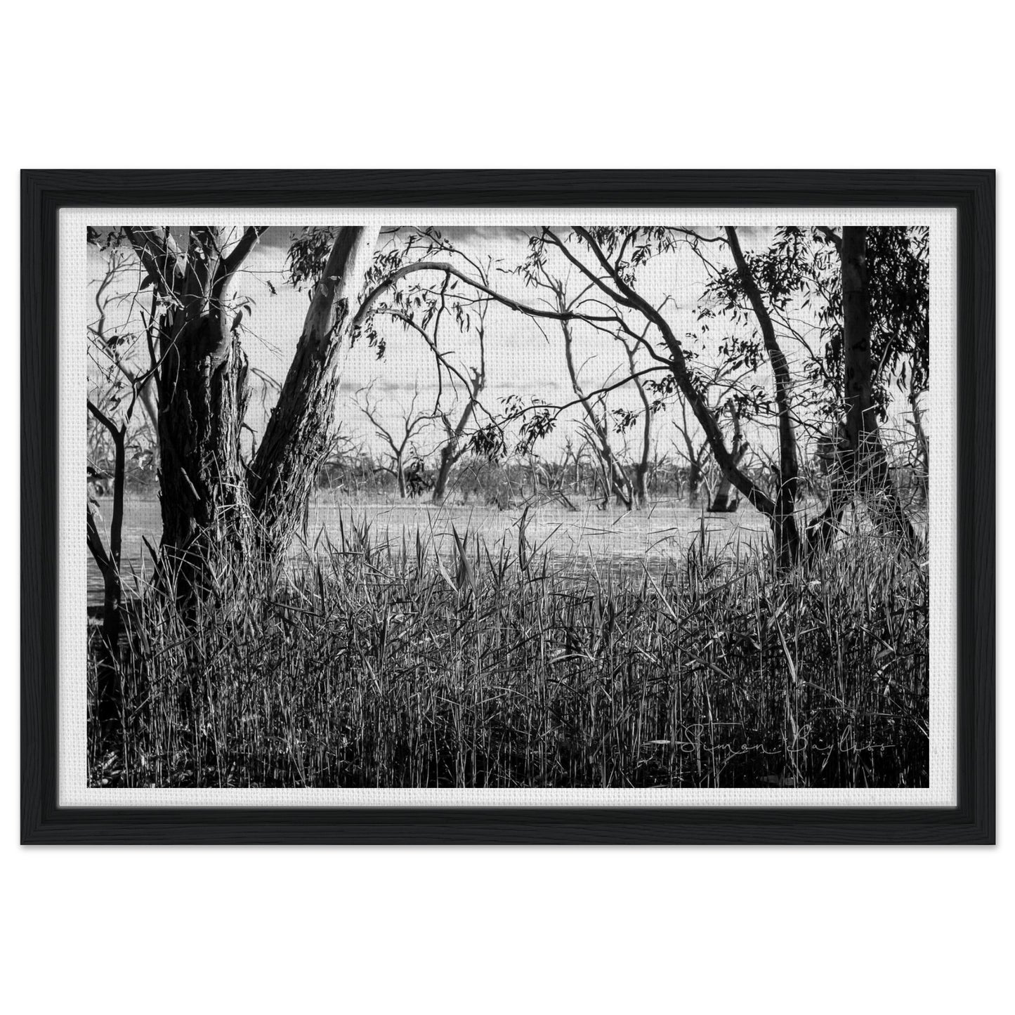 db0cb646-2bd0-4806-9b92-f332857c4233