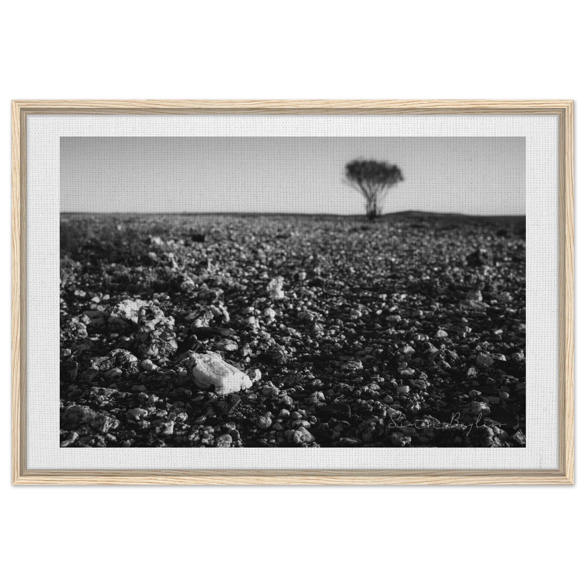 db13bb65-2a32-4a19-95ea-46b6a966de55