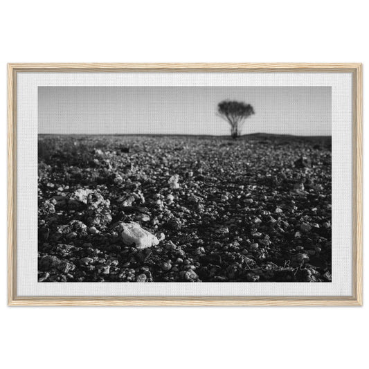 db13bb65-2a32-4a19-95ea-46b6a966de55