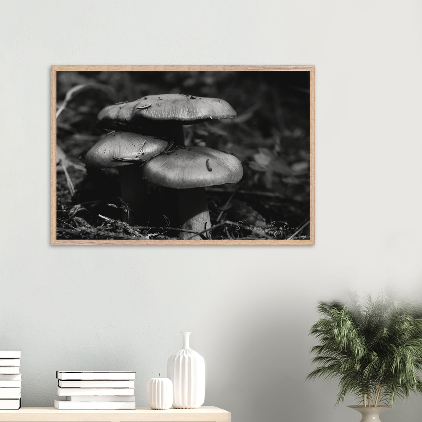 db195e12-25b2-4109-9b92-6e763f43ea44