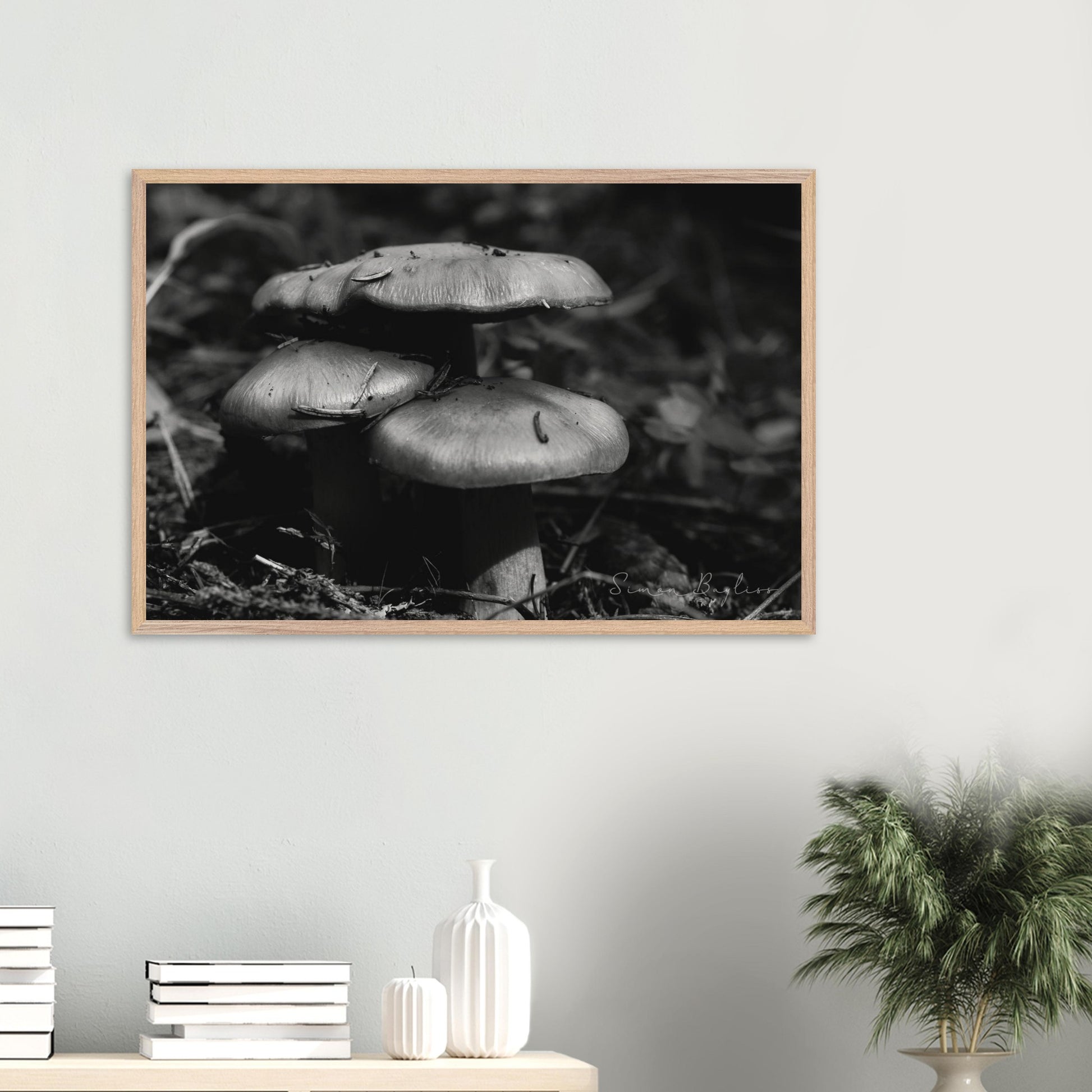 db195e12-25b2-4109-9b92-6e763f43ea44