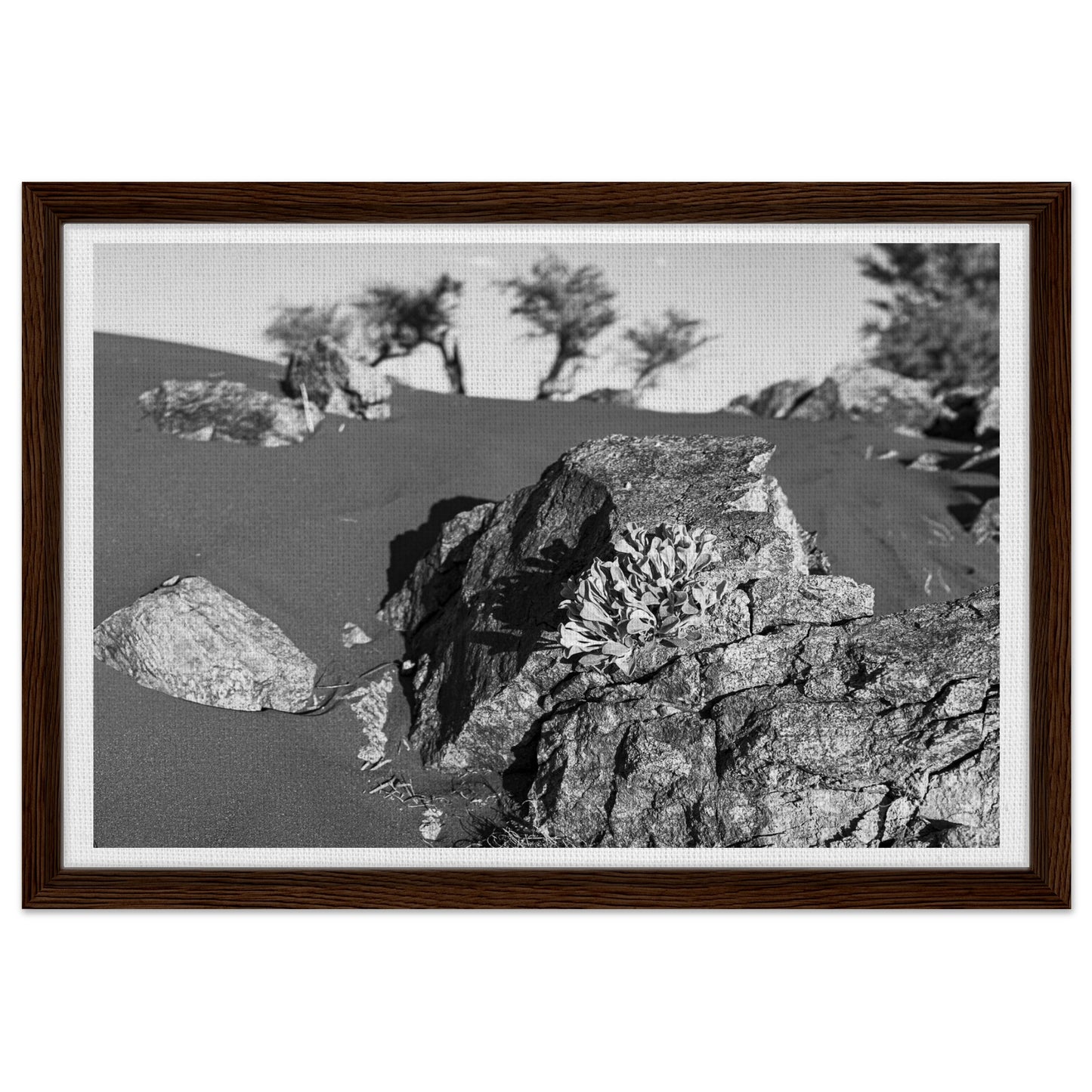 db57592a-7483-4fed-bb6d-82d7fefd9b90