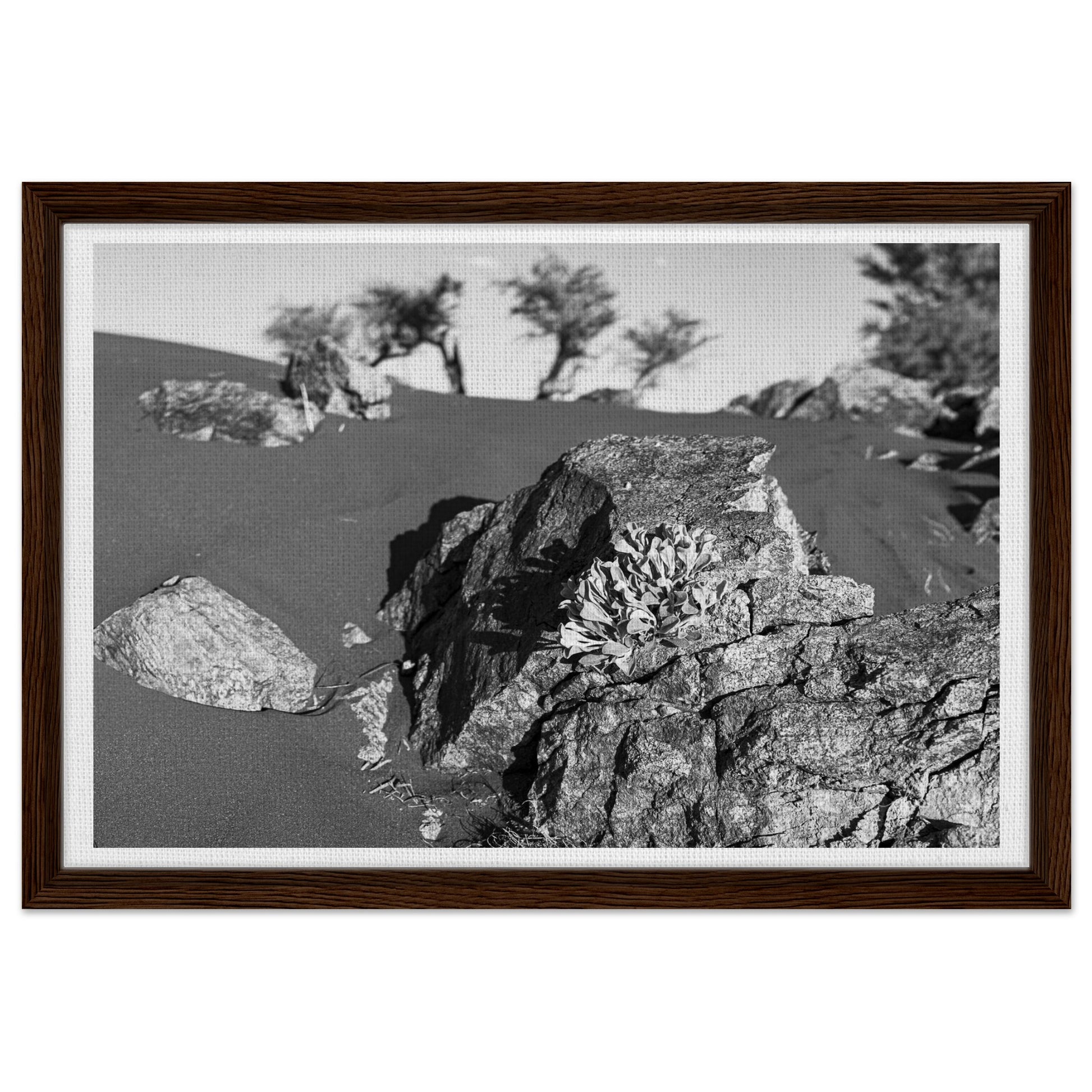 db57592a-7483-4fed-bb6d-82d7fefd9b90