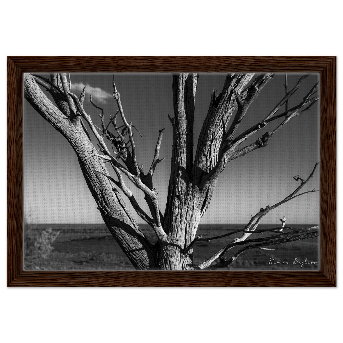 dbbe87dd-0602-44ae-922c-3762081c4993