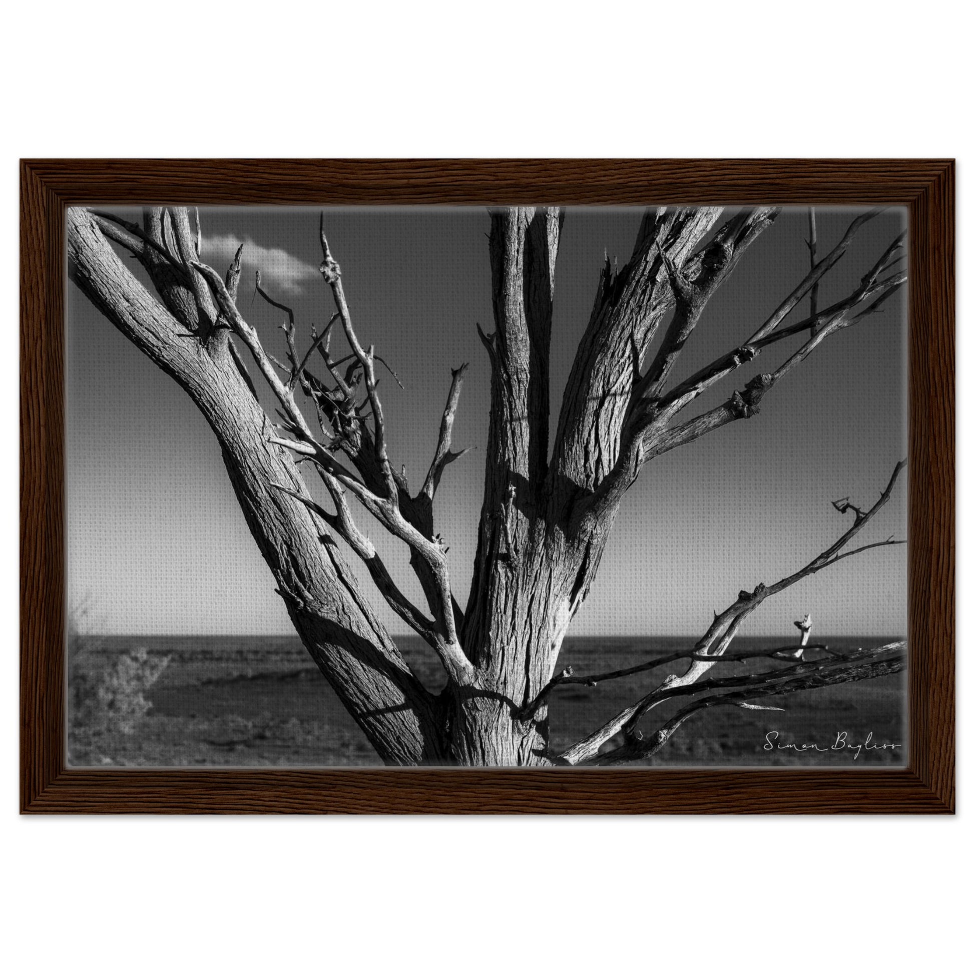 dbbe87dd-0602-44ae-922c-3762081c4993