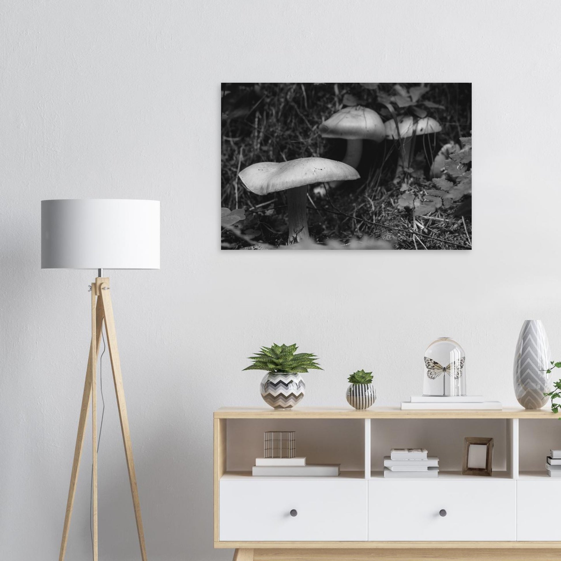 dbf2fb1c-e847-4e3a-9d2c-4a00498047af