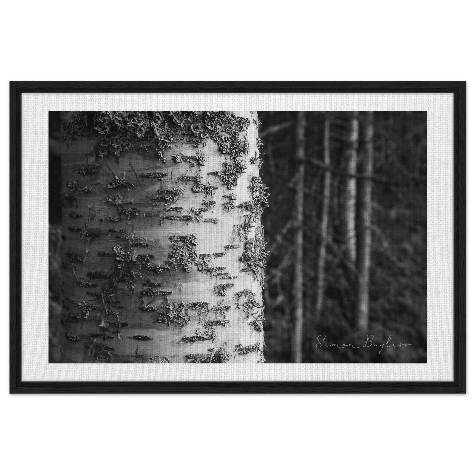 de56816e-fc8e-43f5-a6c4-4a8ca5b99411