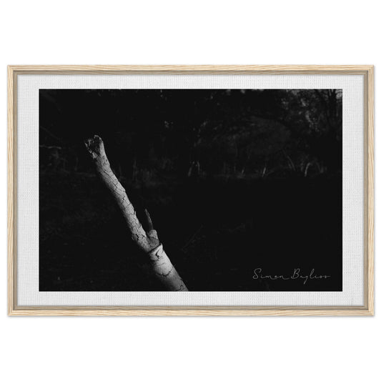 dea01d52-eee6-4f0e-abac-de3672ea2661