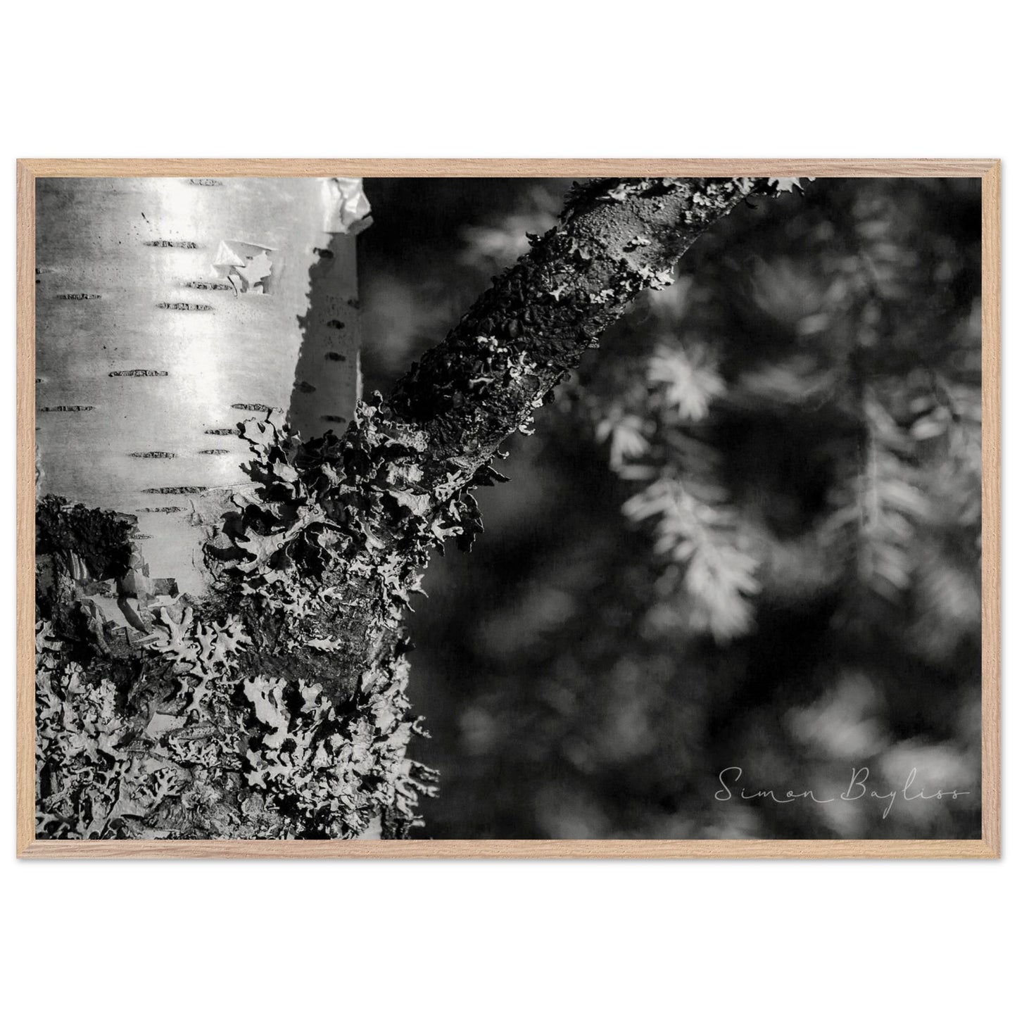 dfa429d8-6e5e-442e-8274-ec8960c97ada