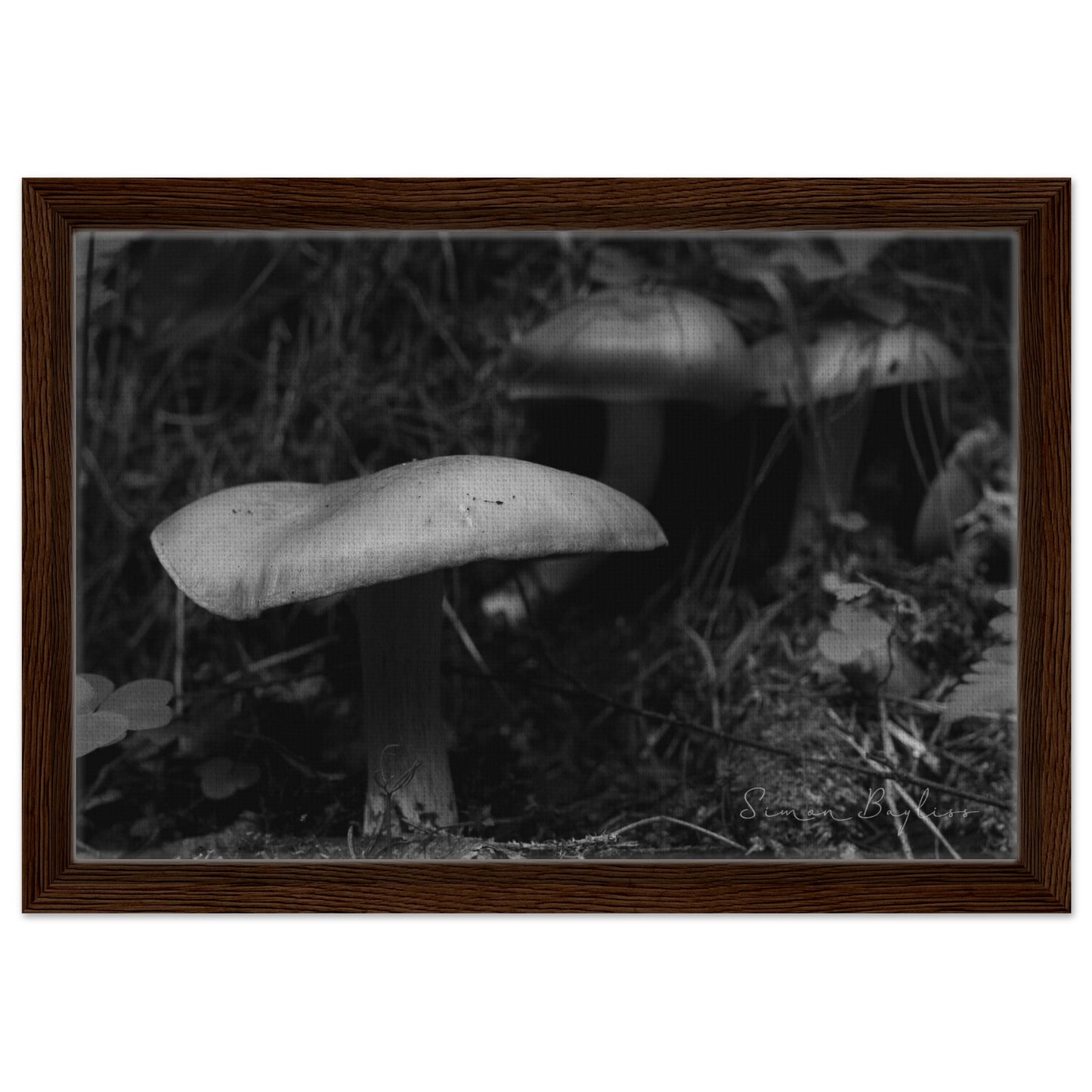 dffaa961-6b3a-43e4-9130-ccaf30047eb7