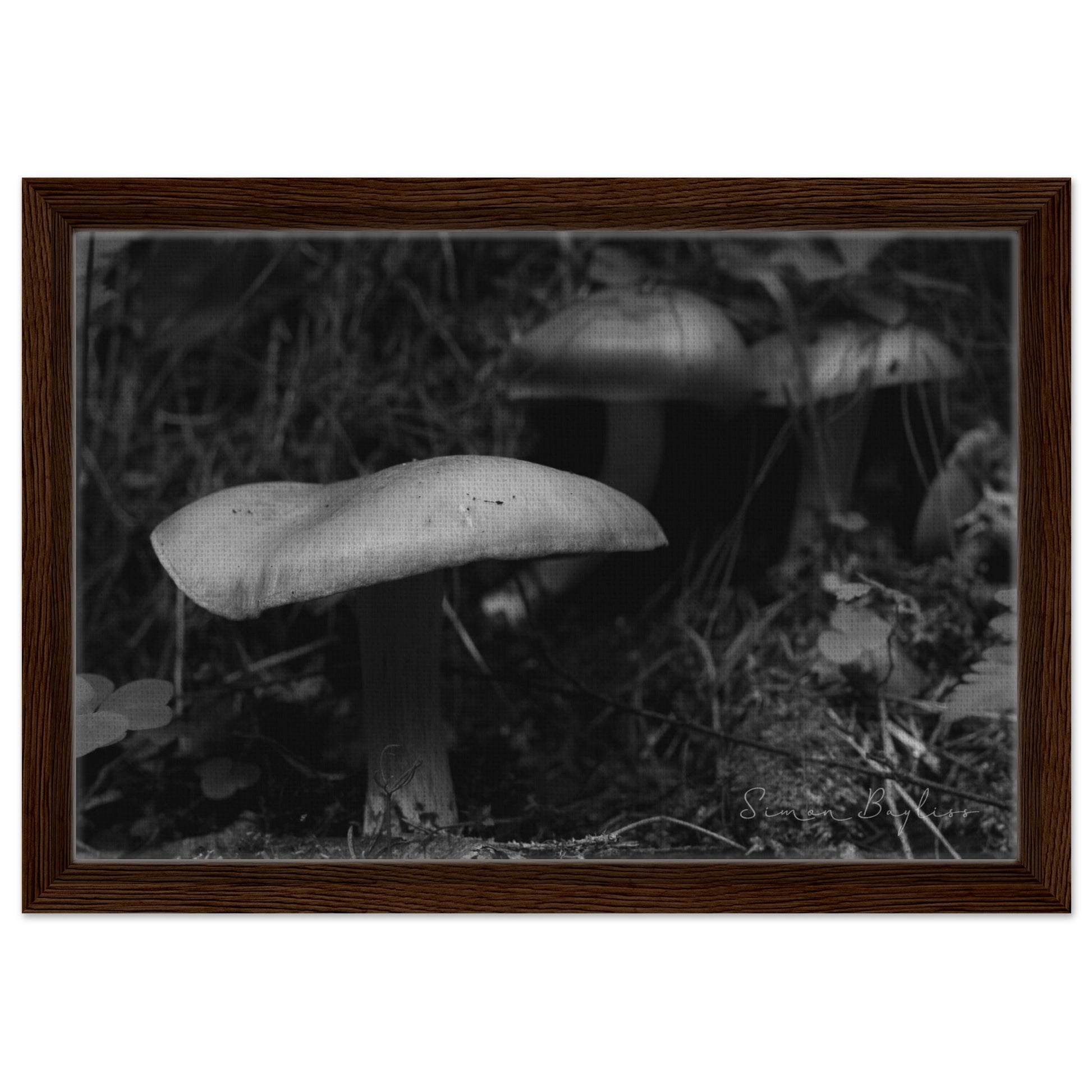 dffaa961-6b3a-43e4-9130-ccaf30047eb7