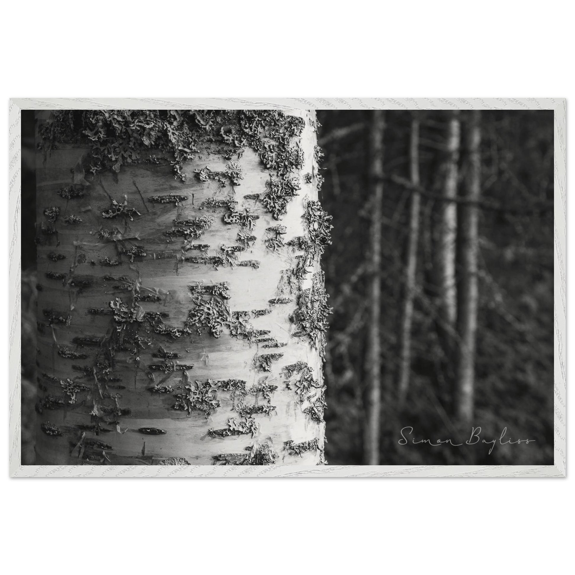 e0032a5b-0c0c-42bc-b7f2-d3470467f68e