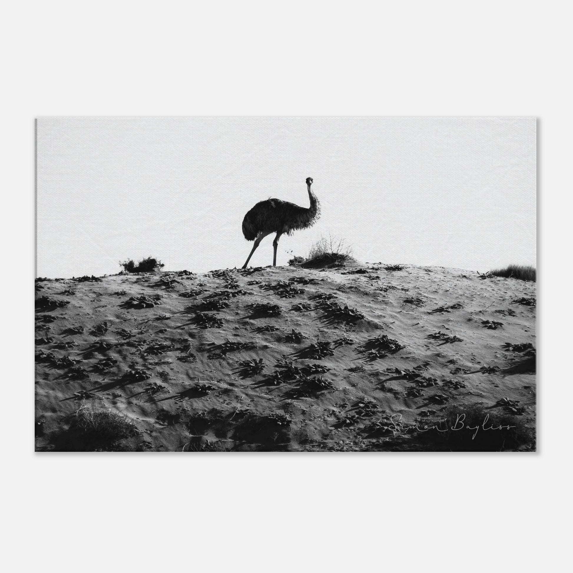 e021aaa2-3801-427e-ae79-892d0a040969