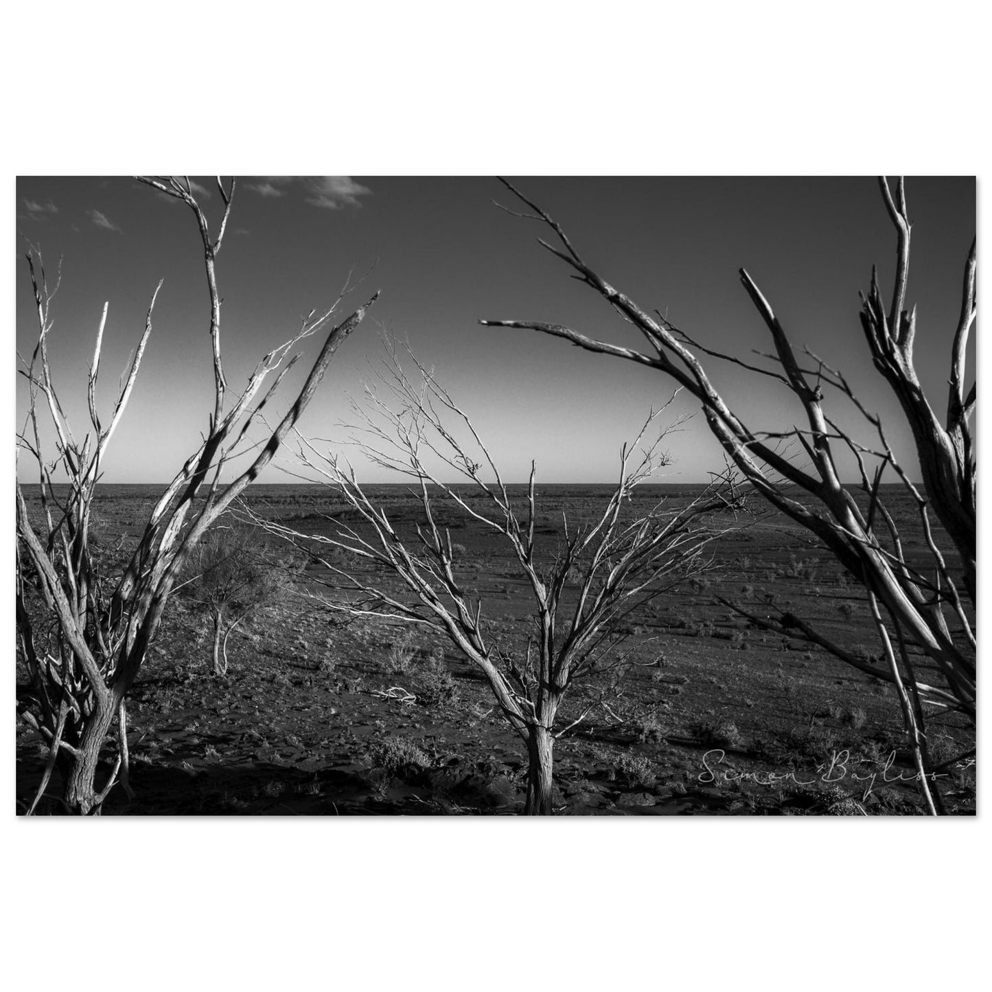 e09da3f7-bd8a-4098-b7a4-34a384999d0b