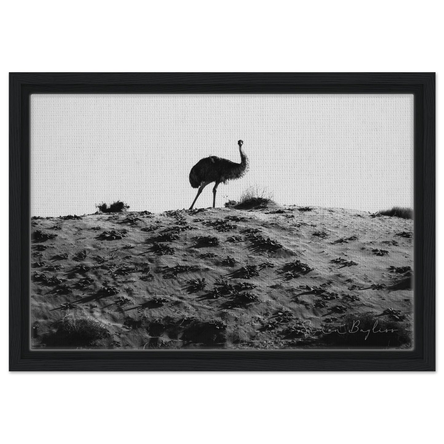 e12c0cf0-ebae-4758-8891-10b244f4d2d5