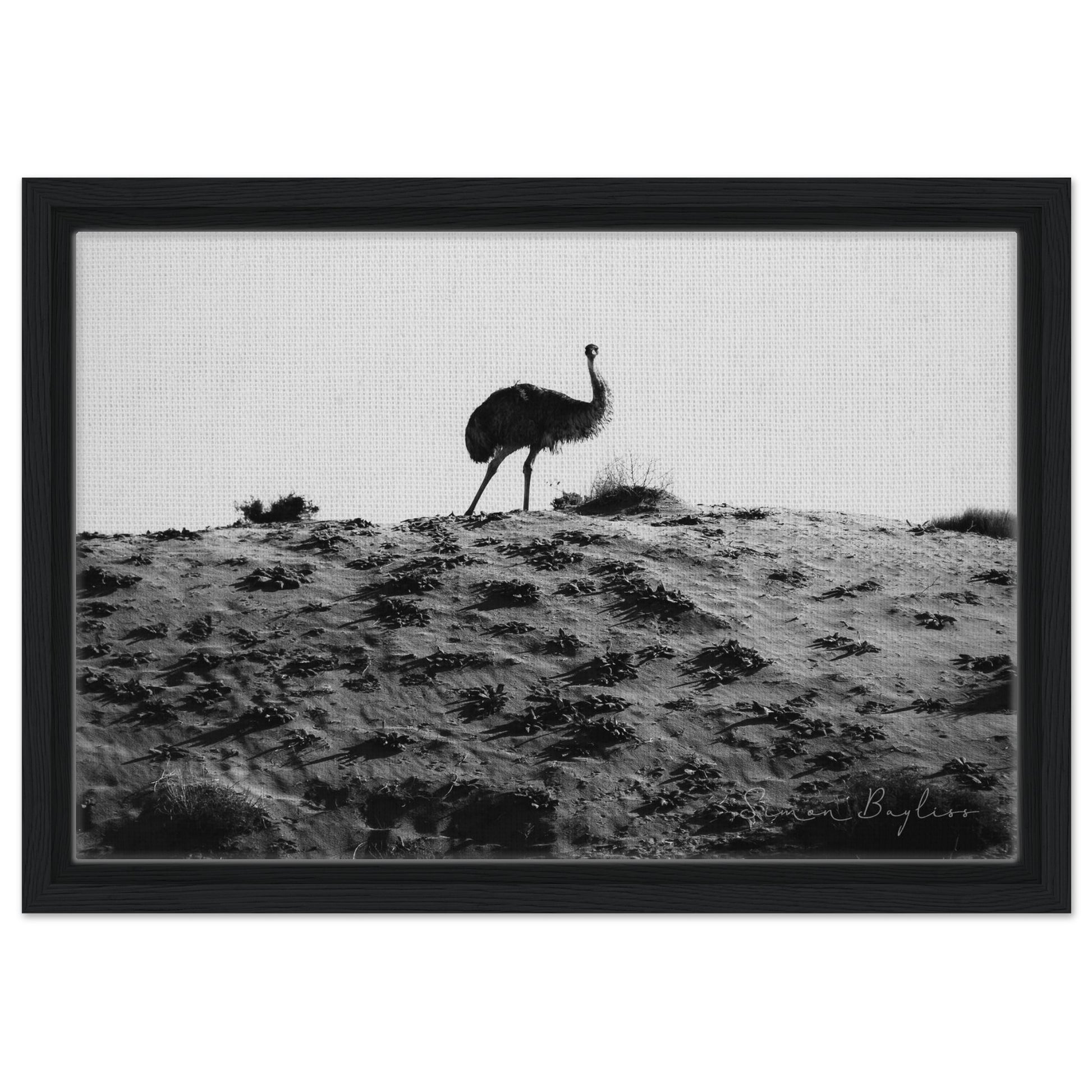 e12c0cf0-ebae-4758-8891-10b244f4d2d5