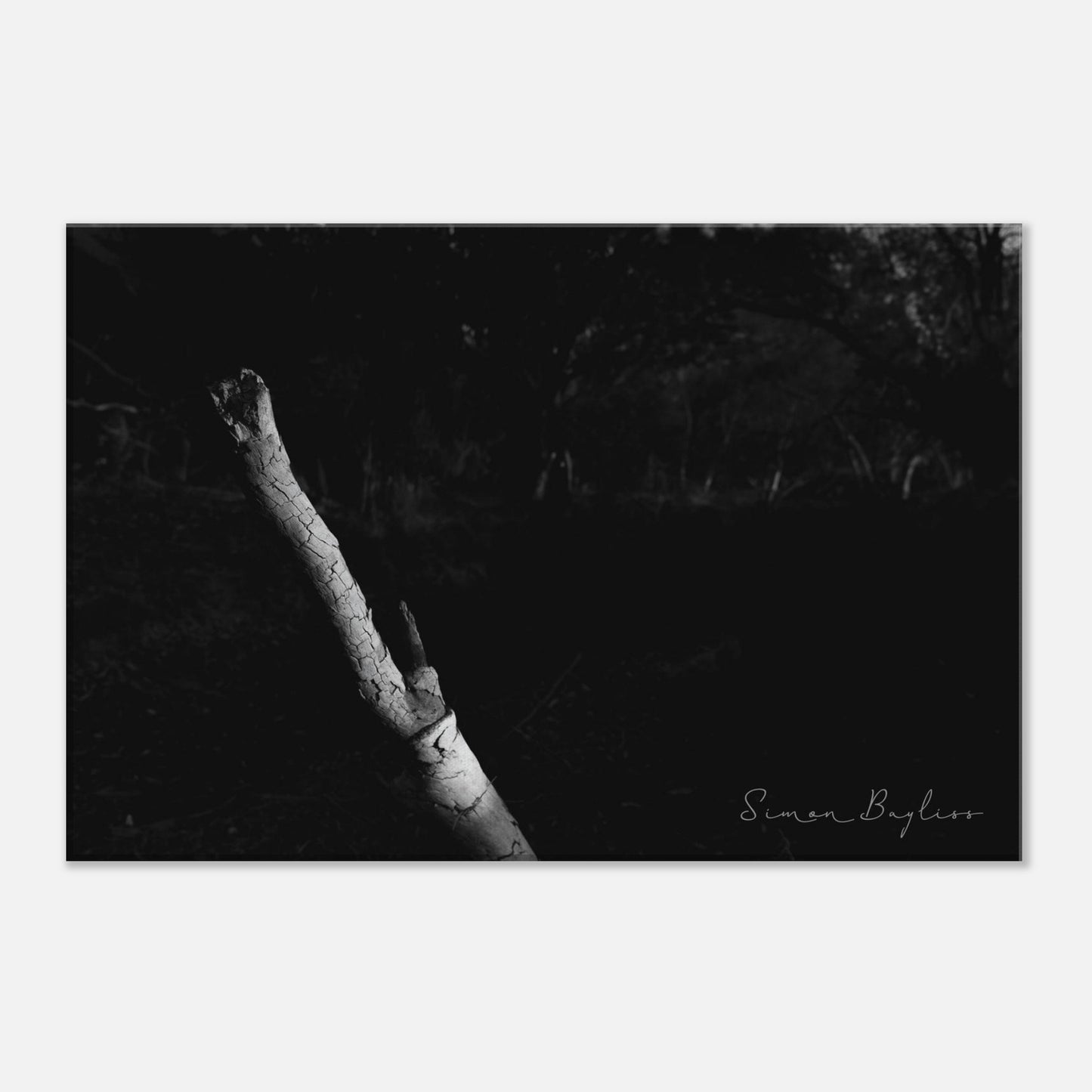 e16bcdf3-d3f7-4630-9da2-43c09f5af5e7