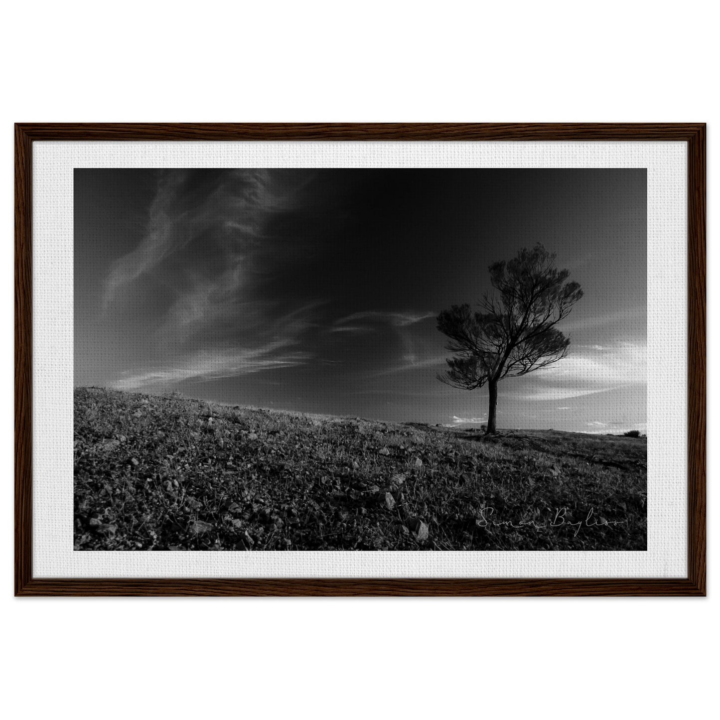 e1c94bfc-d7f7-4aa5-96d6-e831cba998ae