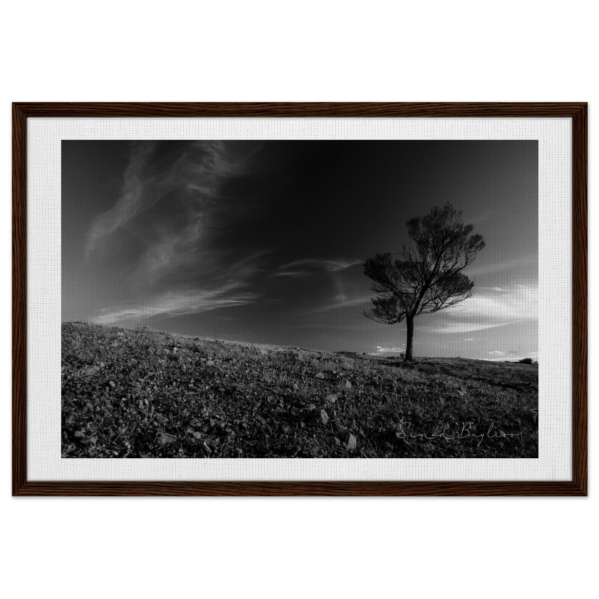 e1c94bfc-d7f7-4aa5-96d6-e831cba998ae