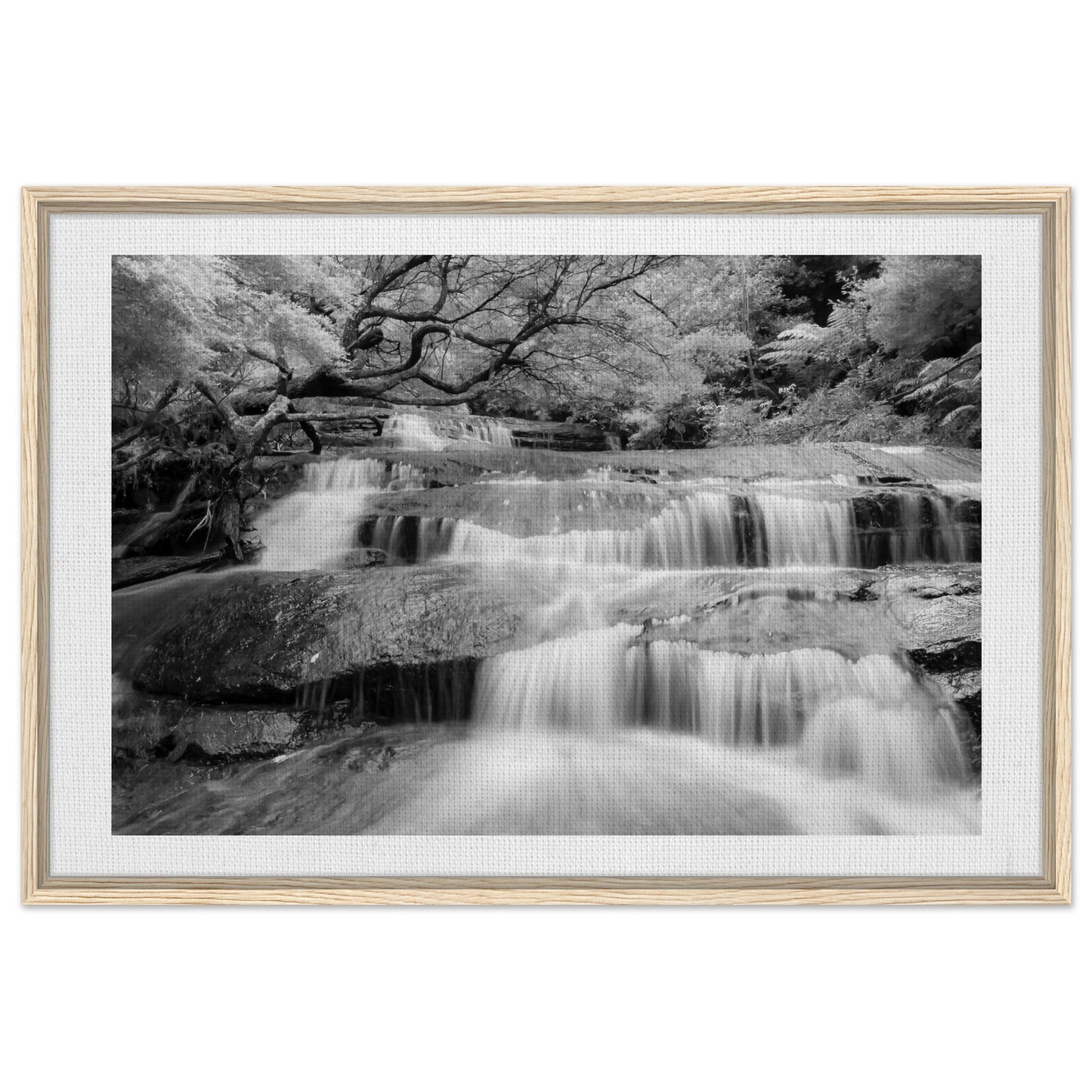 e20266ae-b8b9-4bdc-a4c5-b64ce8ba7d64