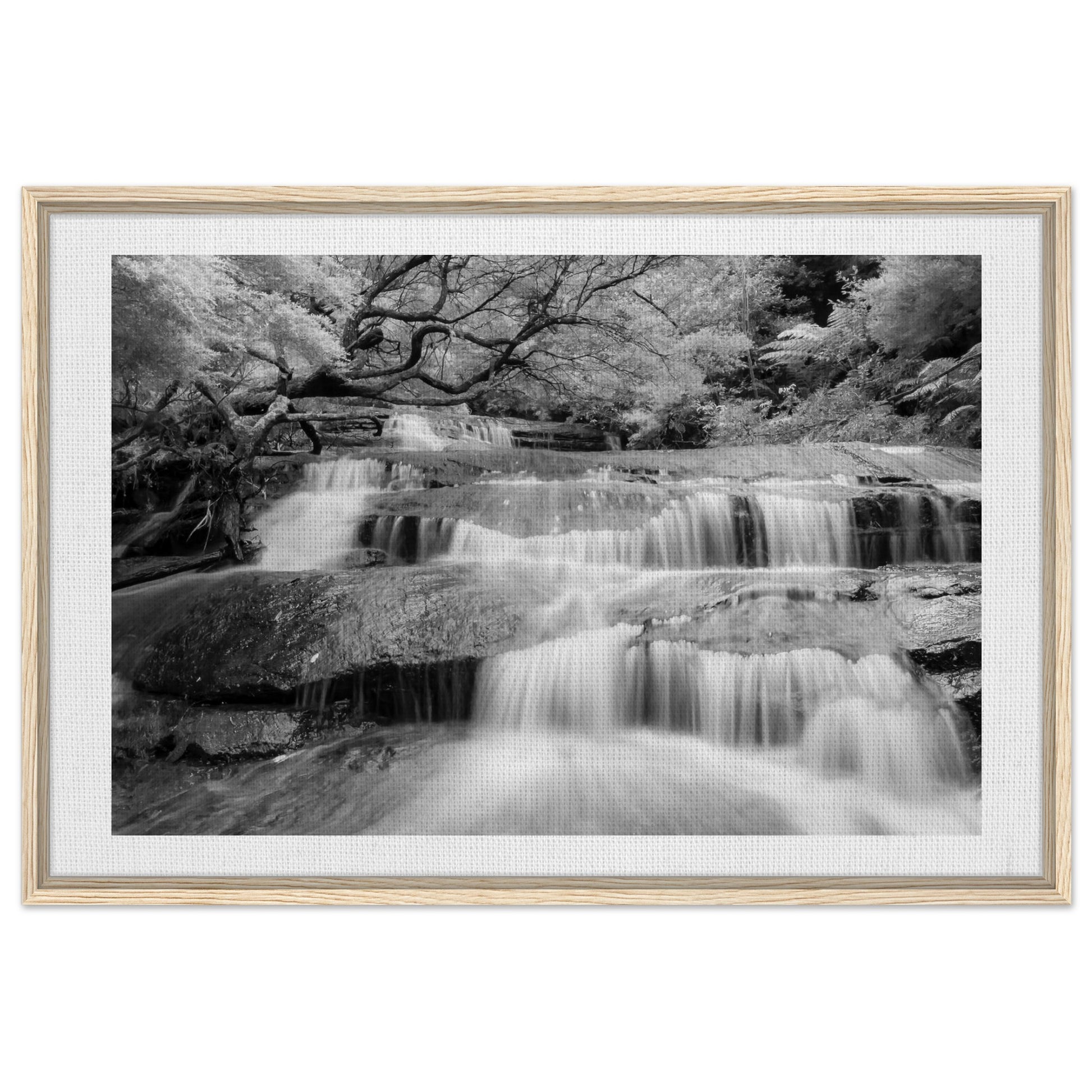 e20266ae-b8b9-4bdc-a4c5-b64ce8ba7d64