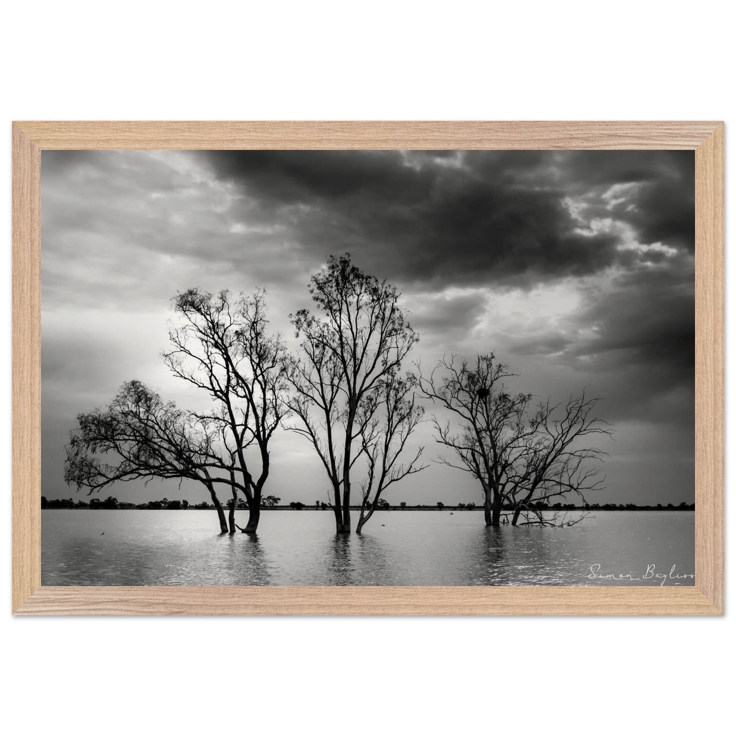 e24c9538-e478-4eed-b364-2ff47d2bfe74