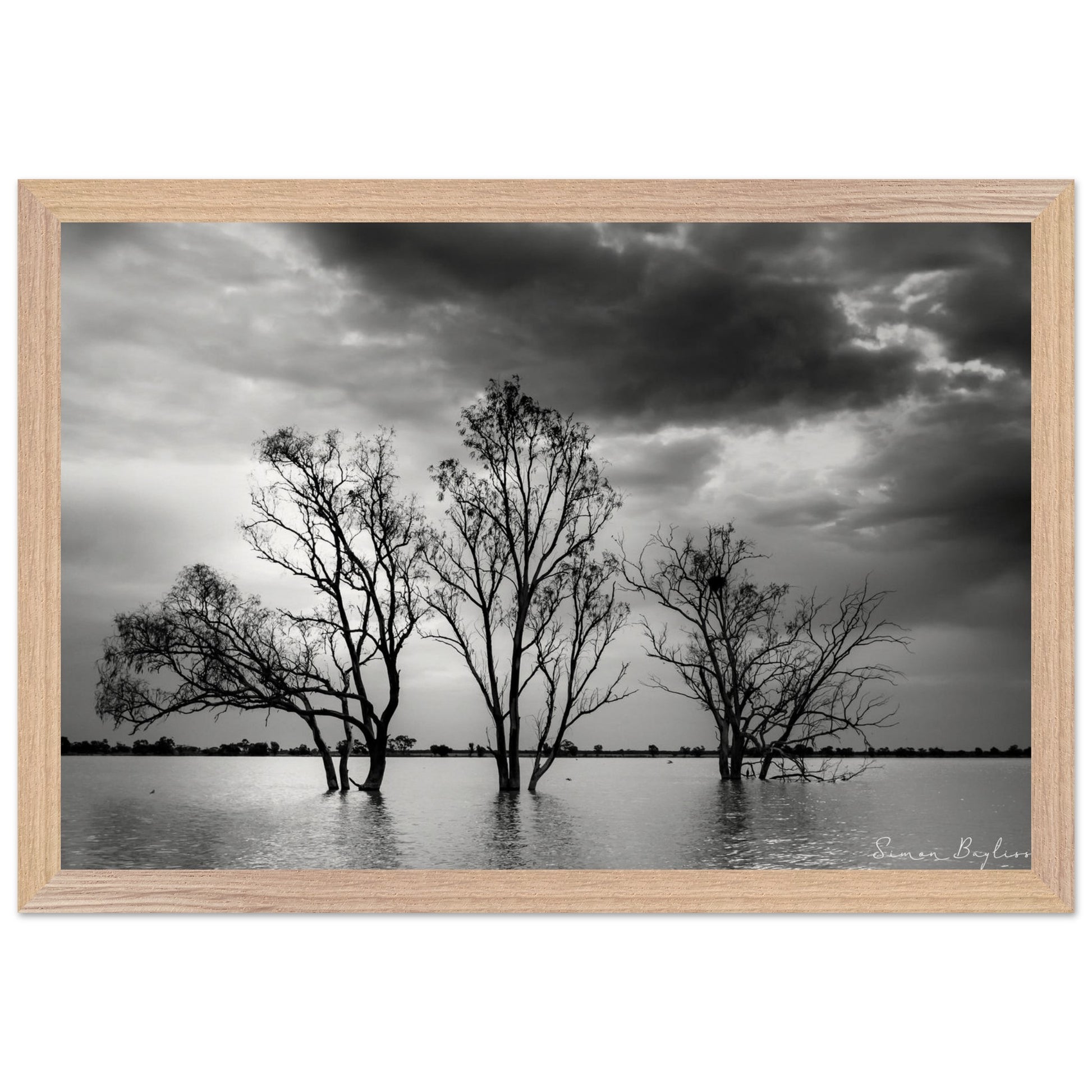 e24c9538-e478-4eed-b364-2ff47d2bfe74