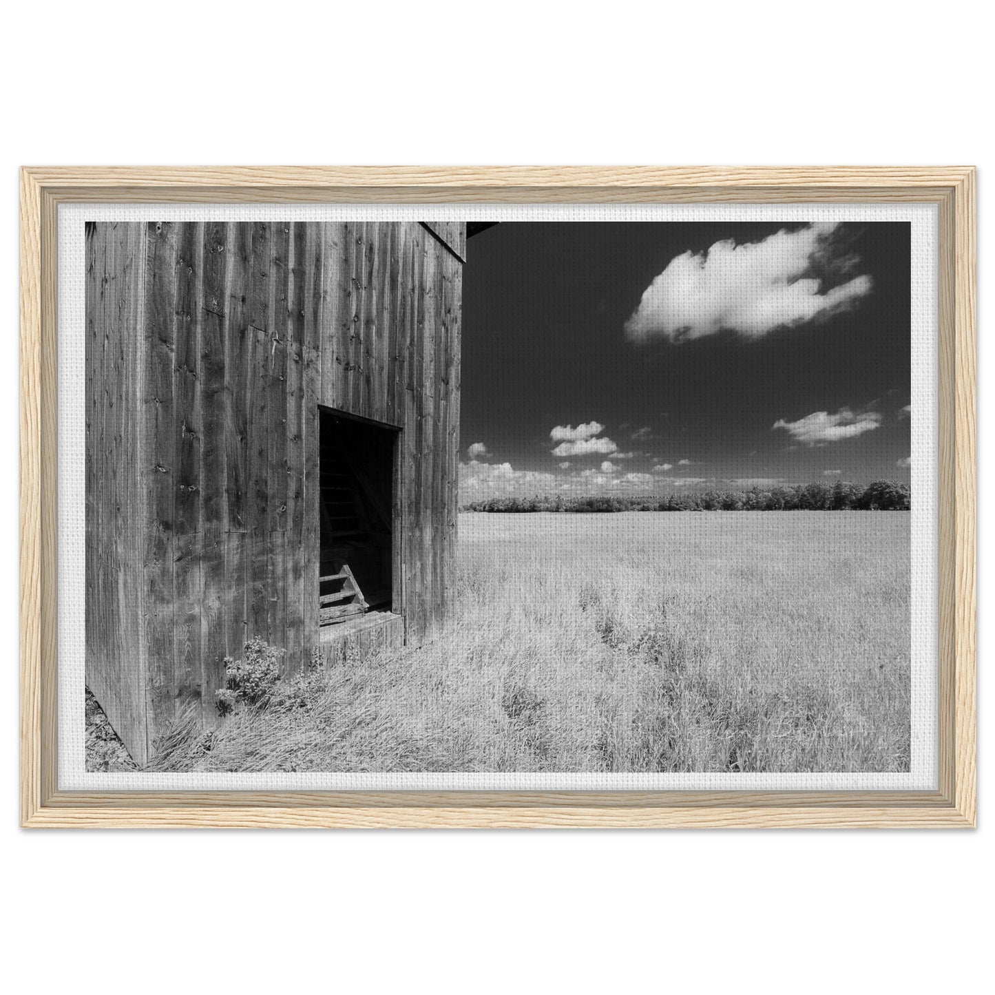 e24f4d9d-5581-4edd-964a-18d932f67bc8