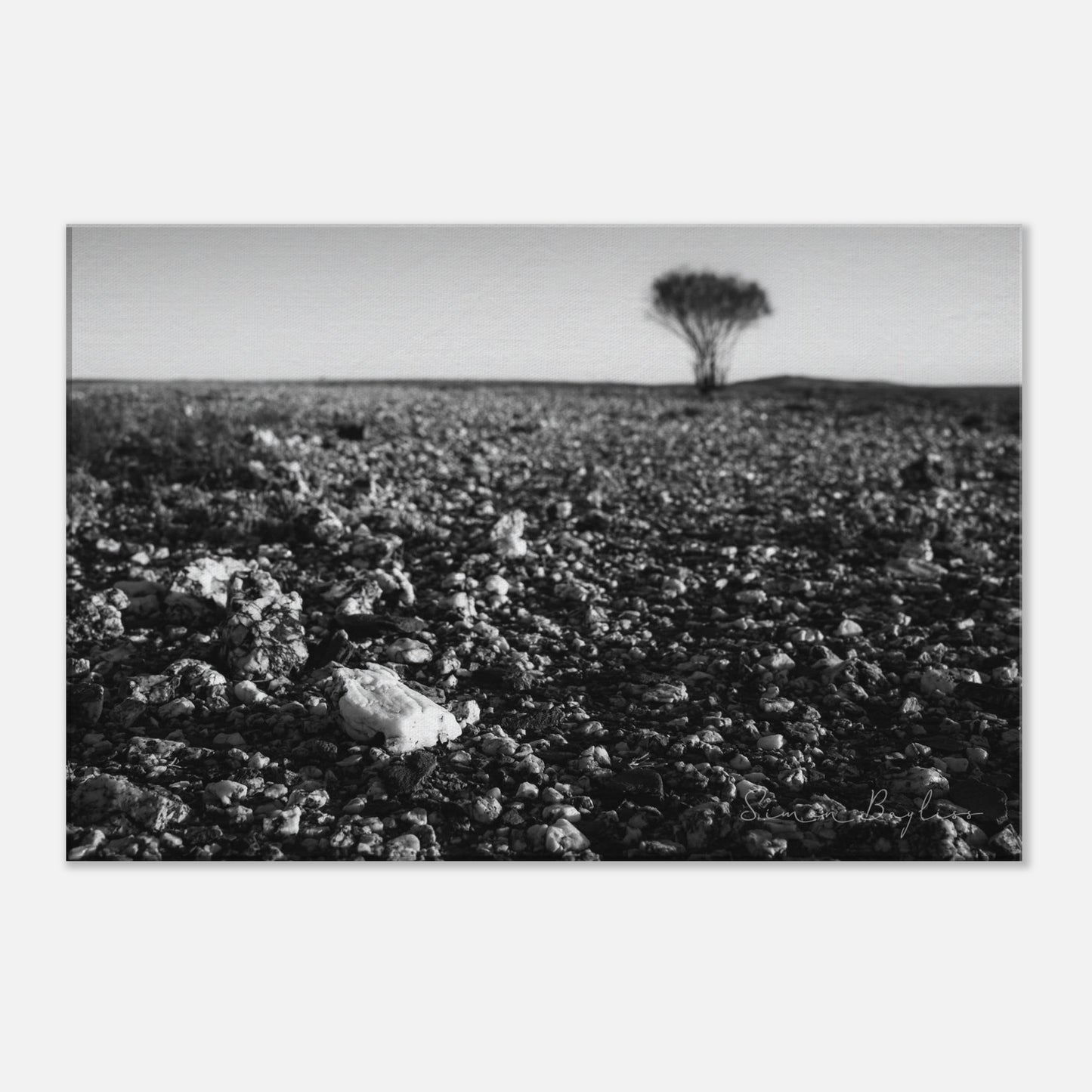 e2f9f024-1b07-4d89-a879-b0839d1f5980