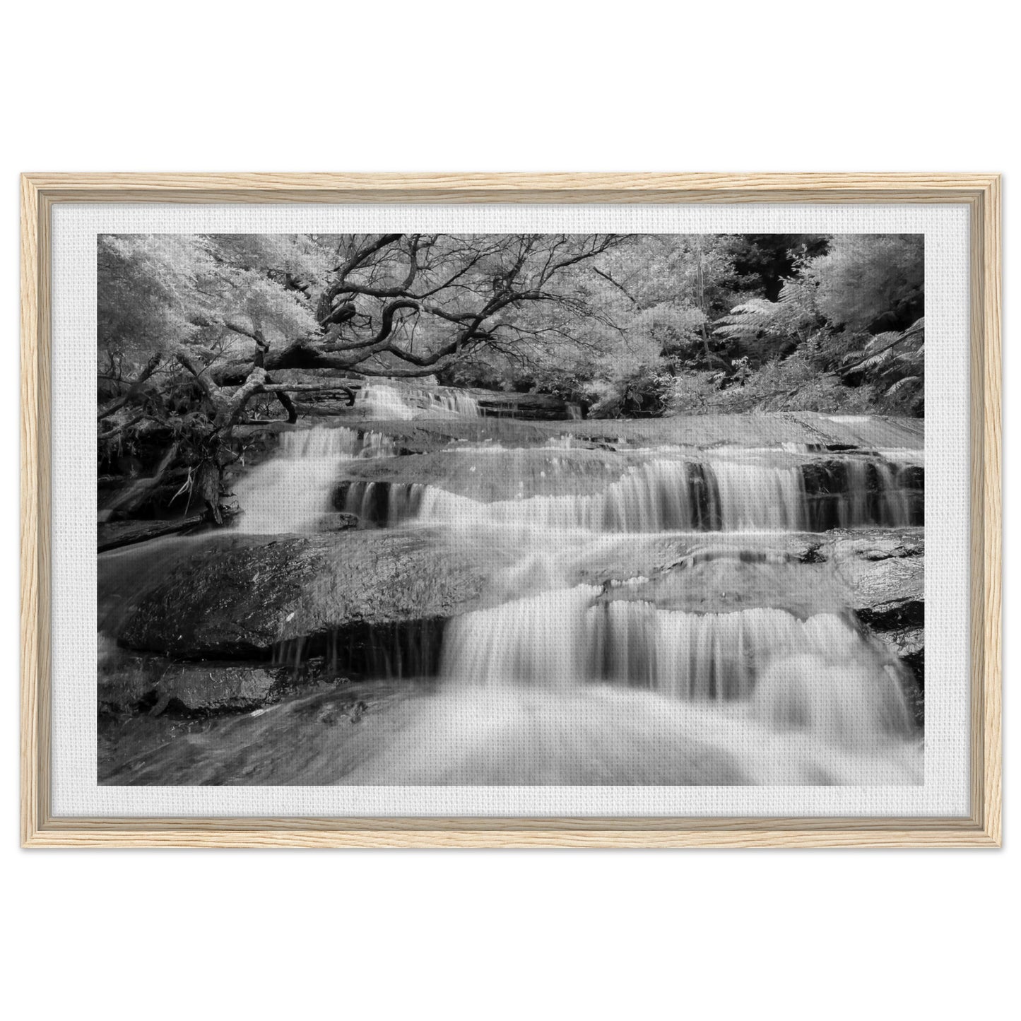 e3dae5d3-9060-49fc-a0df-d48ee4e64d62