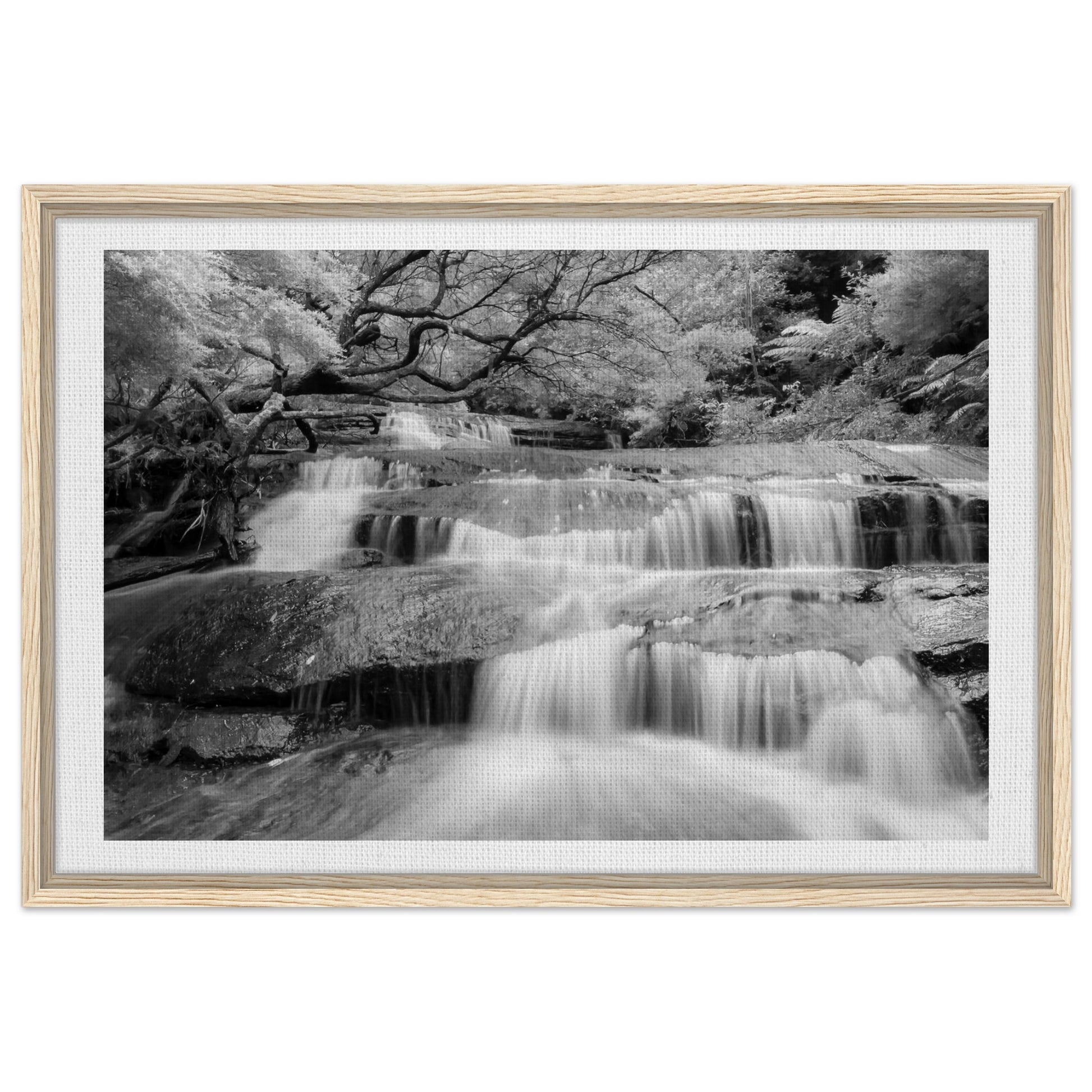 e3dae5d3-9060-49fc-a0df-d48ee4e64d62