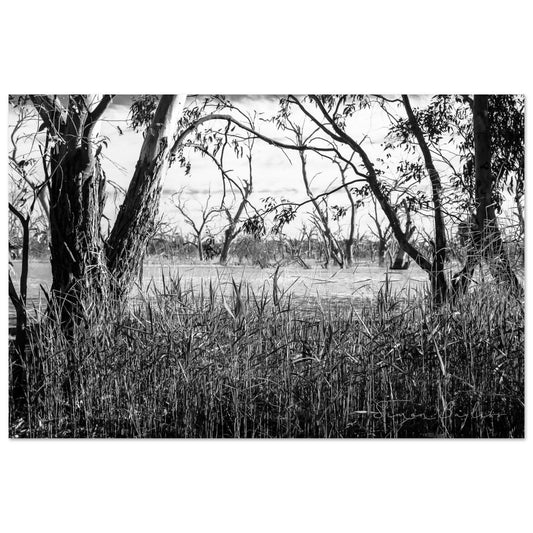 e3f6f590-7476-445c-afe5-51d5e1d7e50e