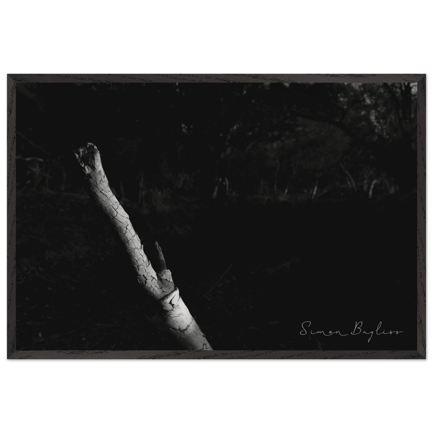 e410b25b-8f3d-4a5d-bf7d-c5946442ae83