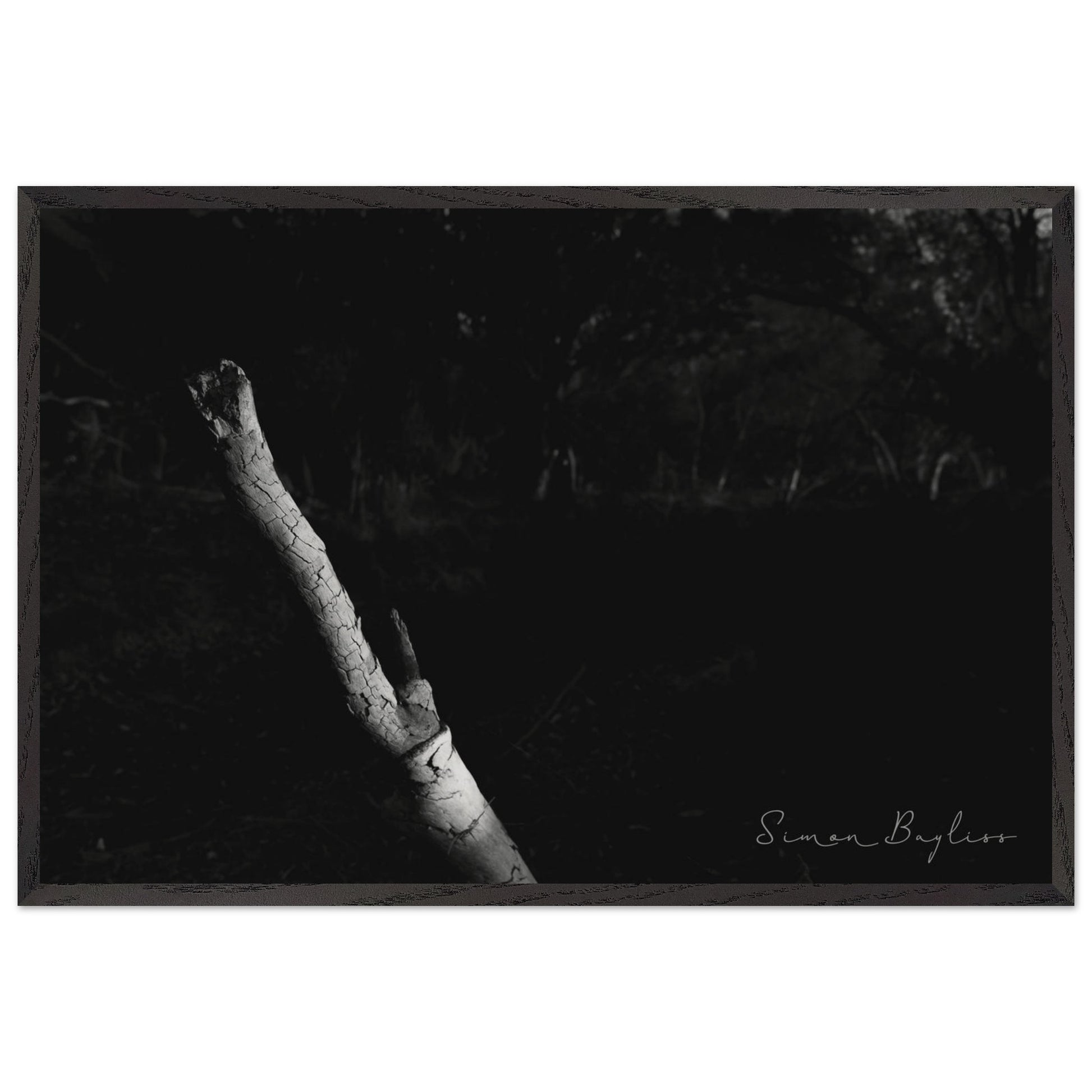 e410b25b-8f3d-4a5d-bf7d-c5946442ae83