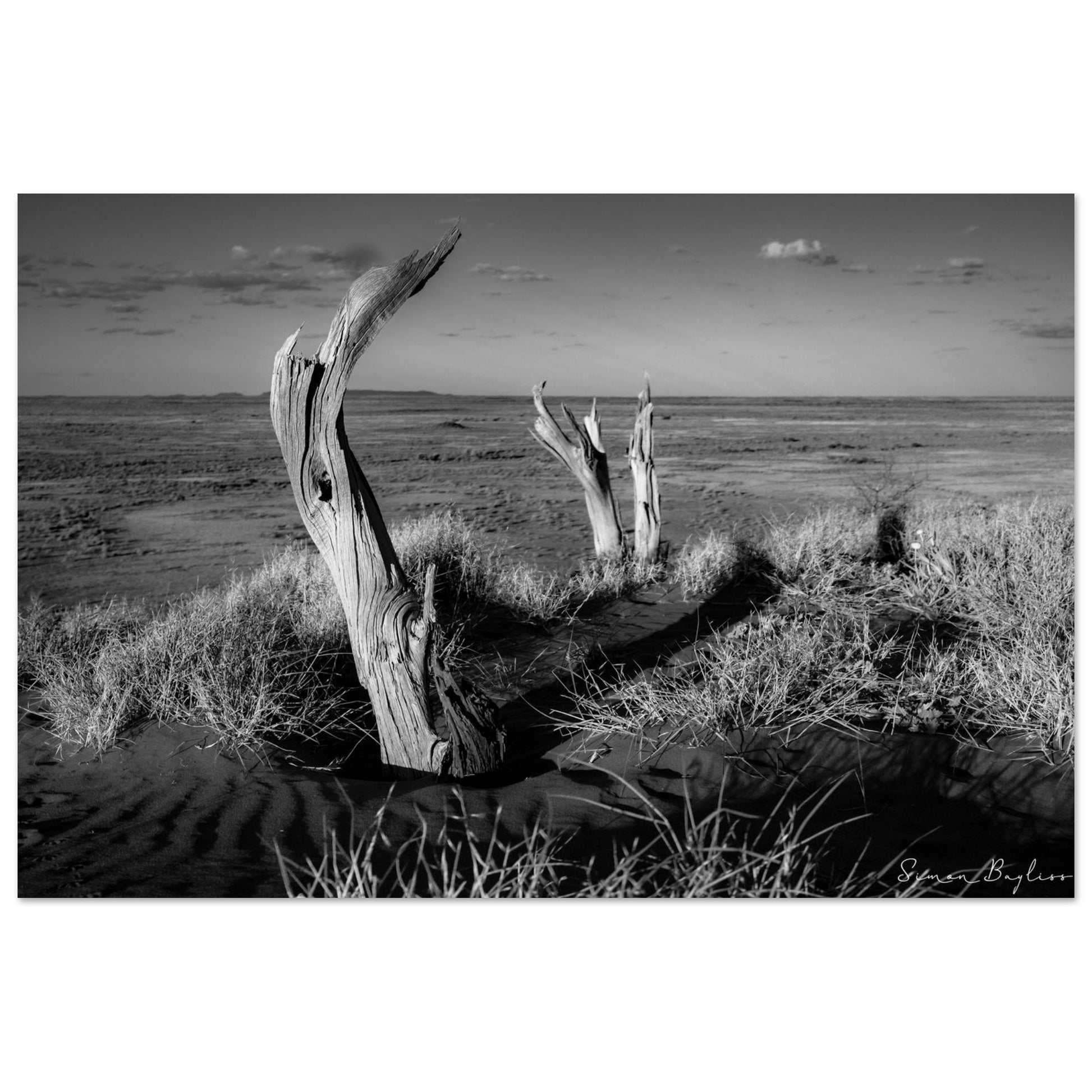 e4454976-7129-4b39-b683-e1c83a355c21