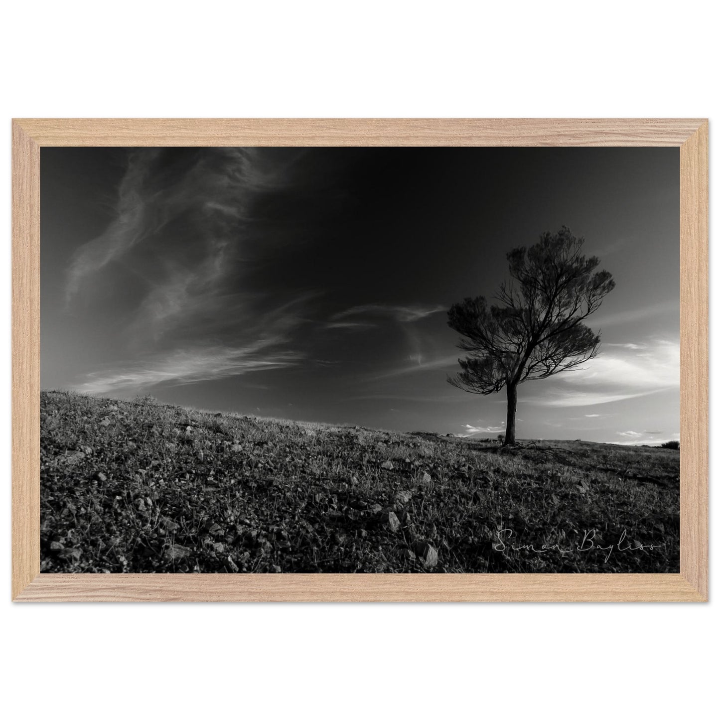 e45ad8d8-08fc-4adf-8ab4-5c86f77f8340