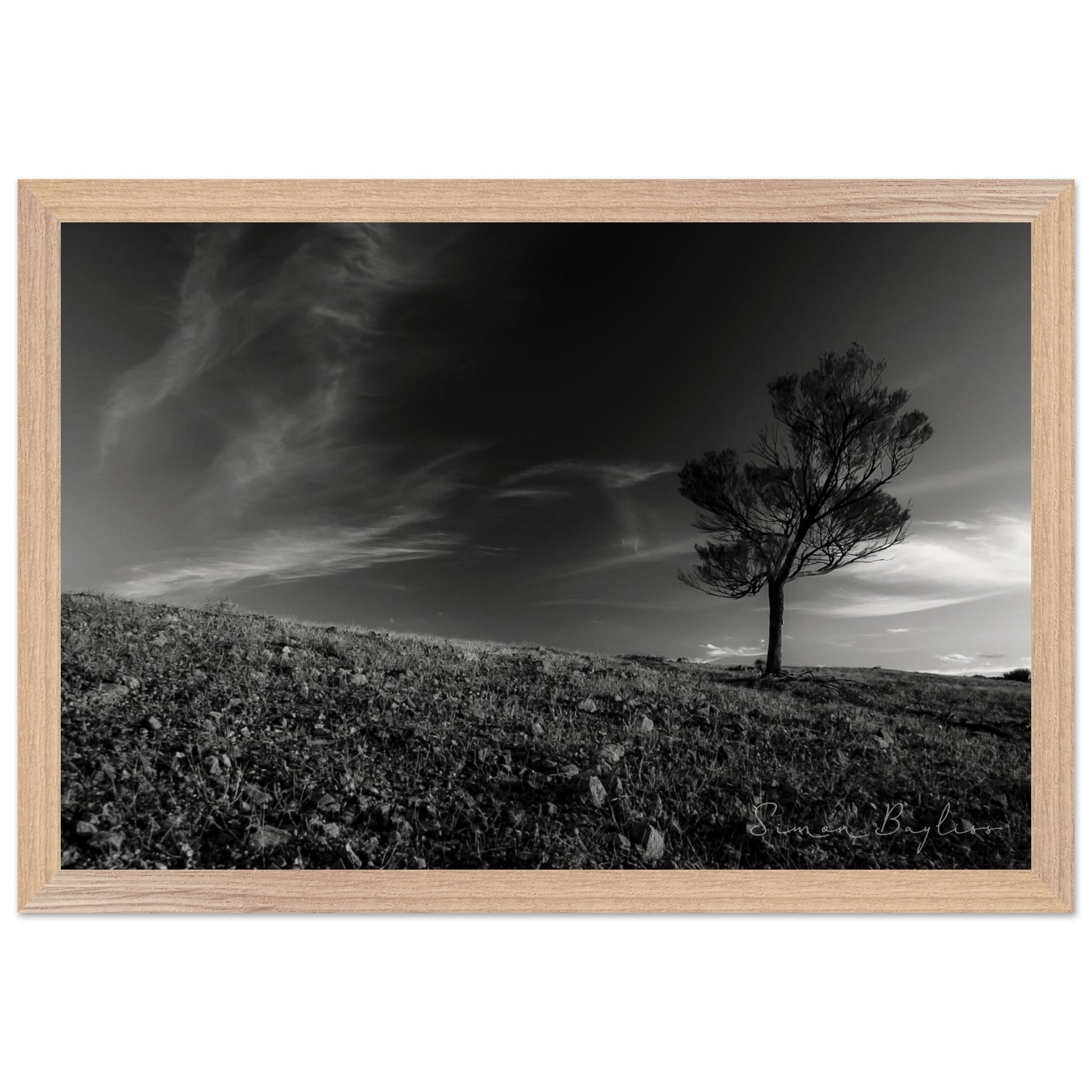 e45ad8d8-08fc-4adf-8ab4-5c86f77f8340