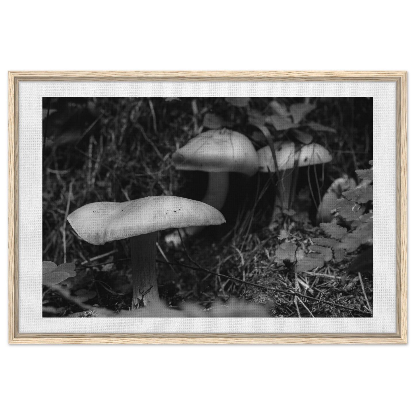 e49e6d92-8f8b-4682-83f9-6b1449ad91c3