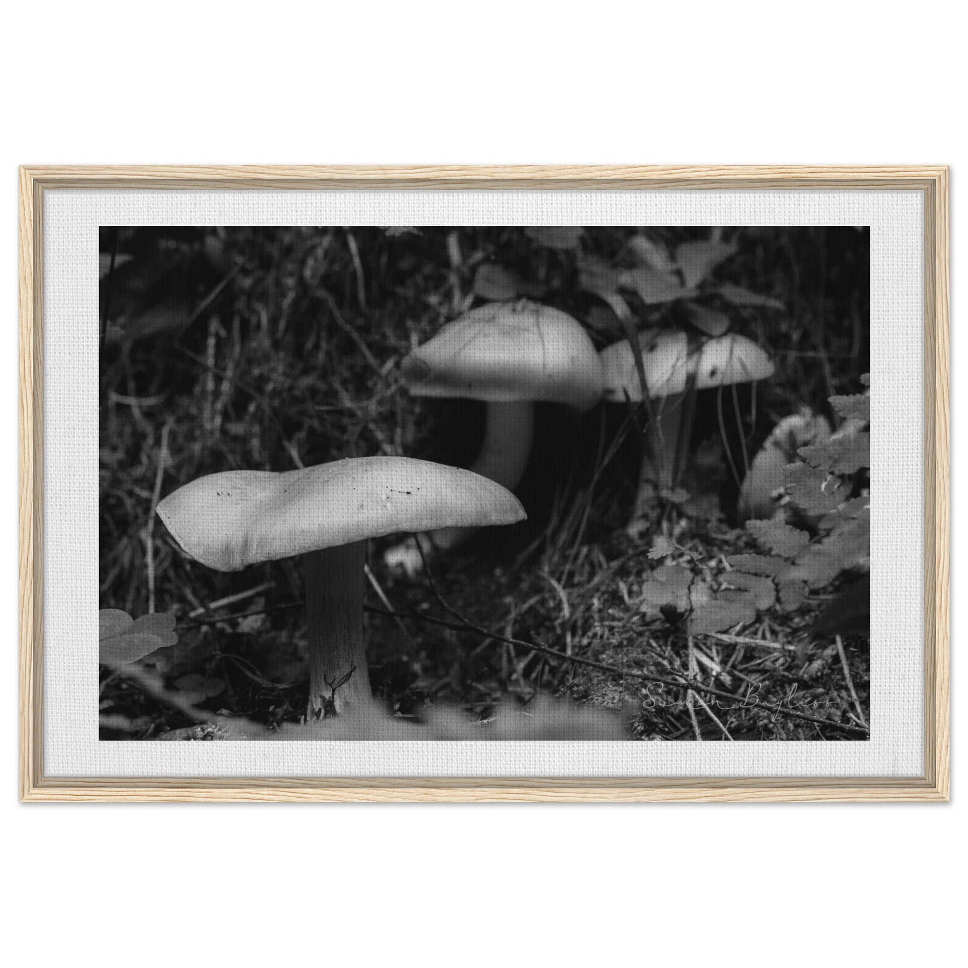 e49e6d92-8f8b-4682-83f9-6b1449ad91c3